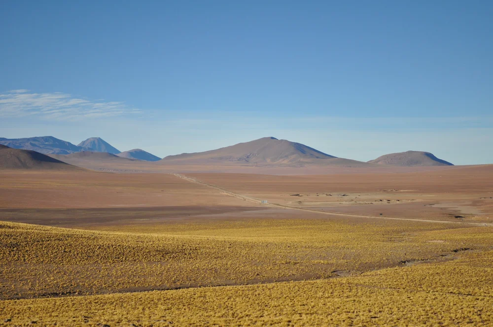 DSC_0364.JPG