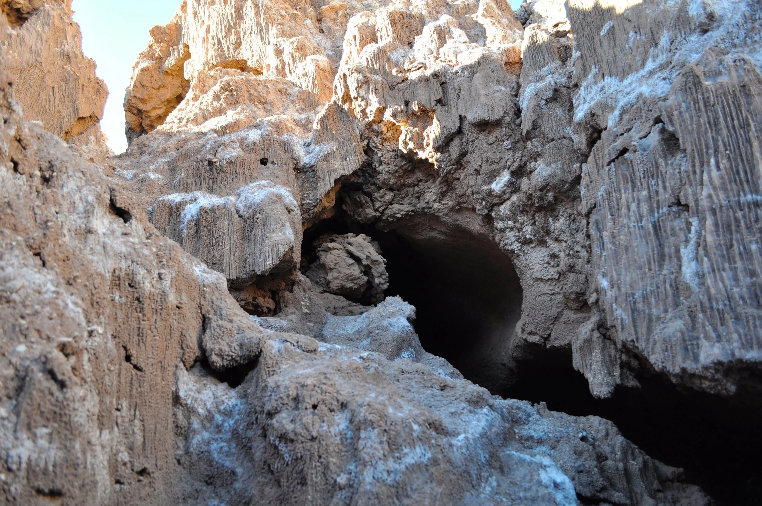 DSC_1541.JPG