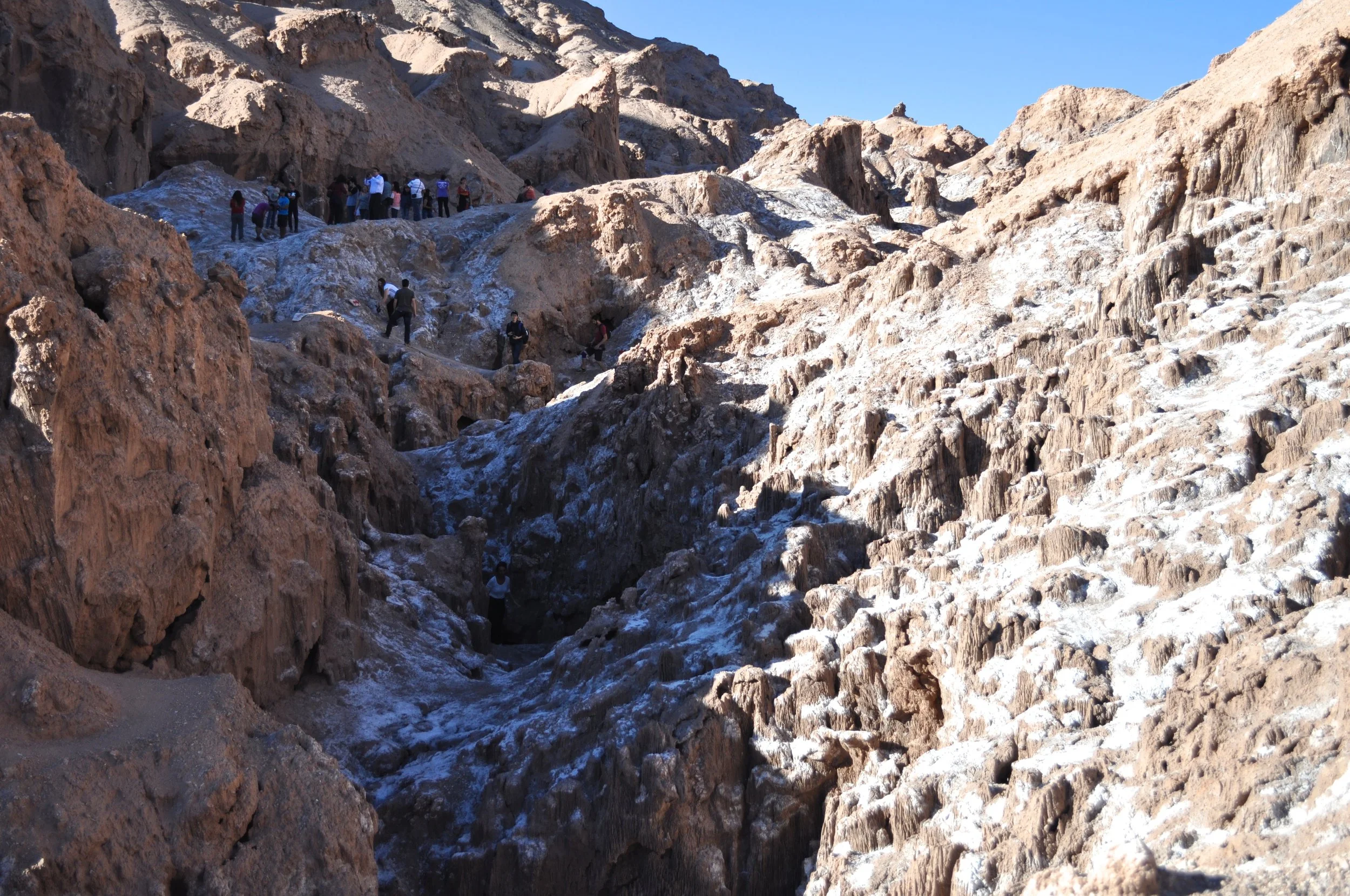 DSC_1559.JPG