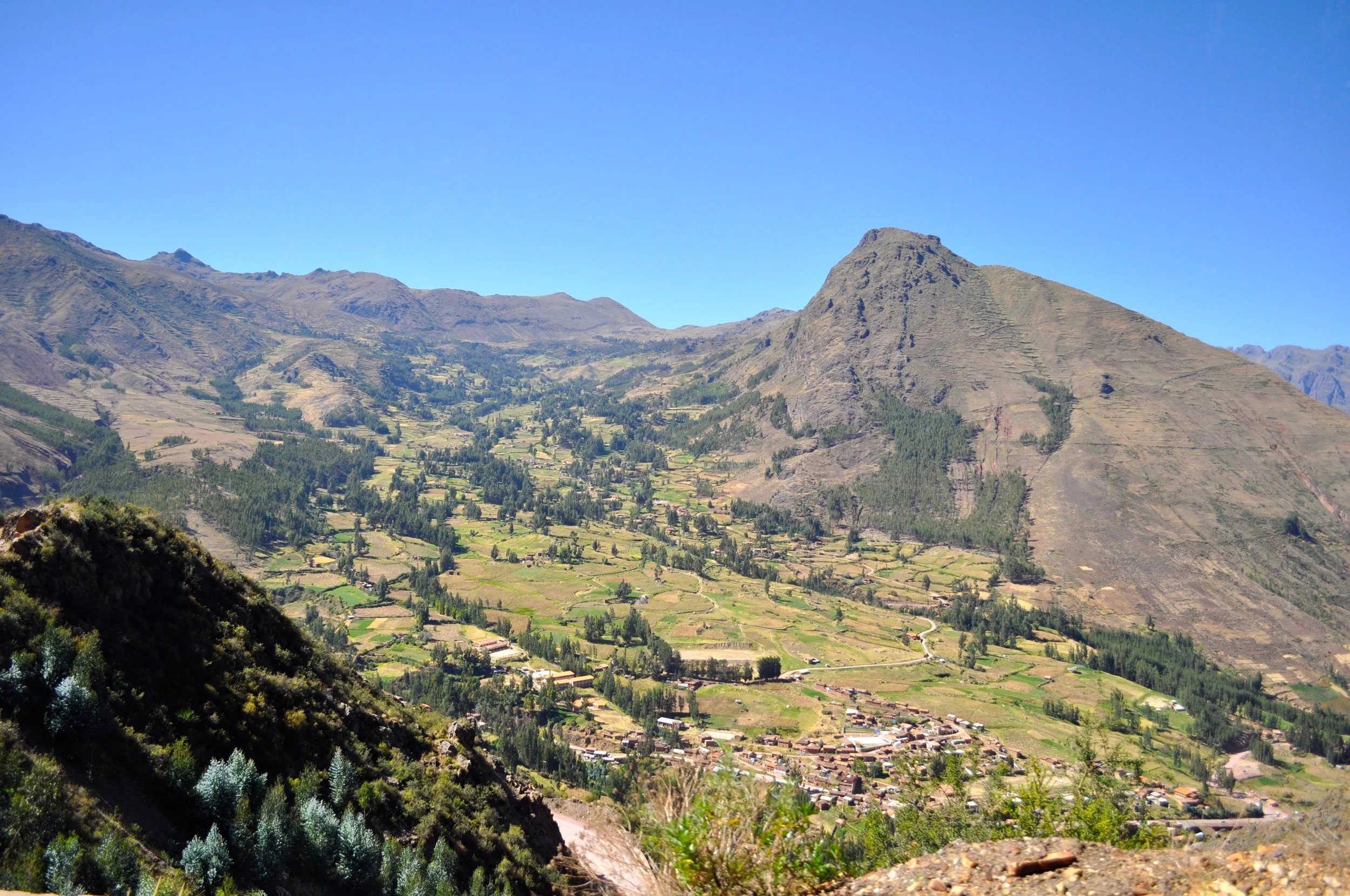 DSC_0096.JPG