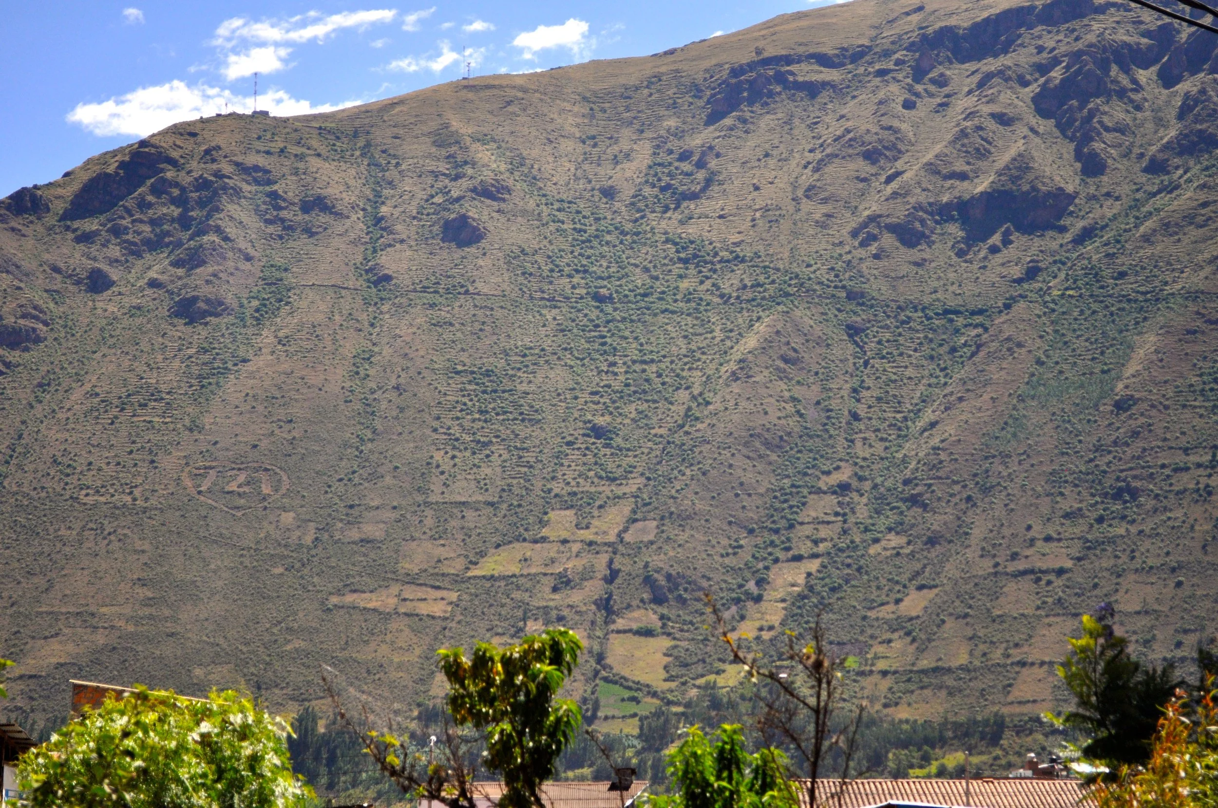 DSC_0184.JPG