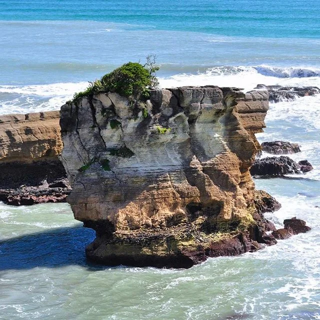 New Zealand - February 2014 #punakaiki #newzealand🇳🇿 #travel #travelphotography