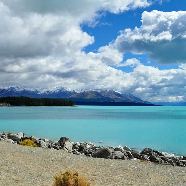 New Zealand - February 2014 #lakepukaki #newzealand🇳🇿 #travel #travelphotography