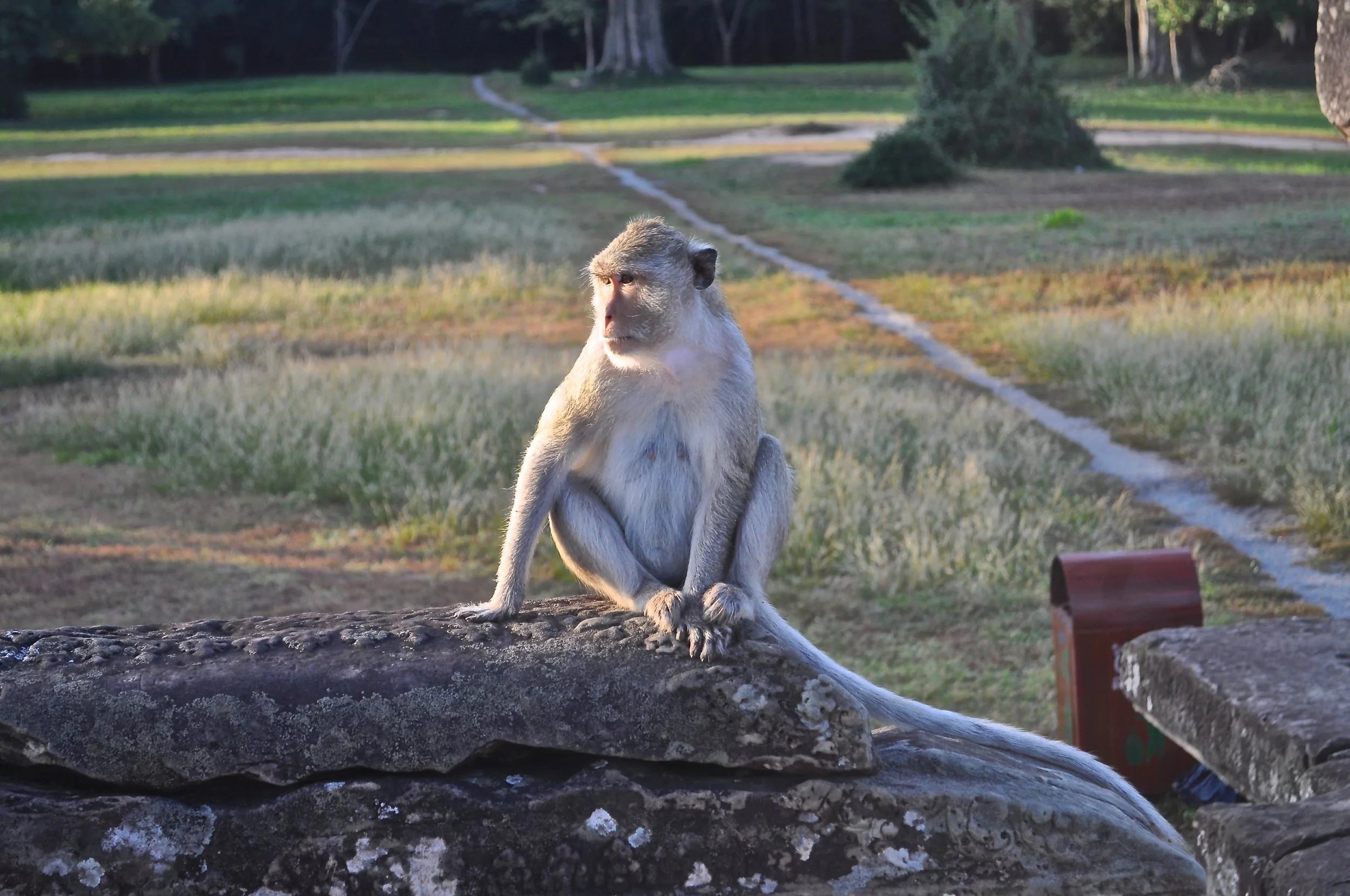 DSC_0244.JPG