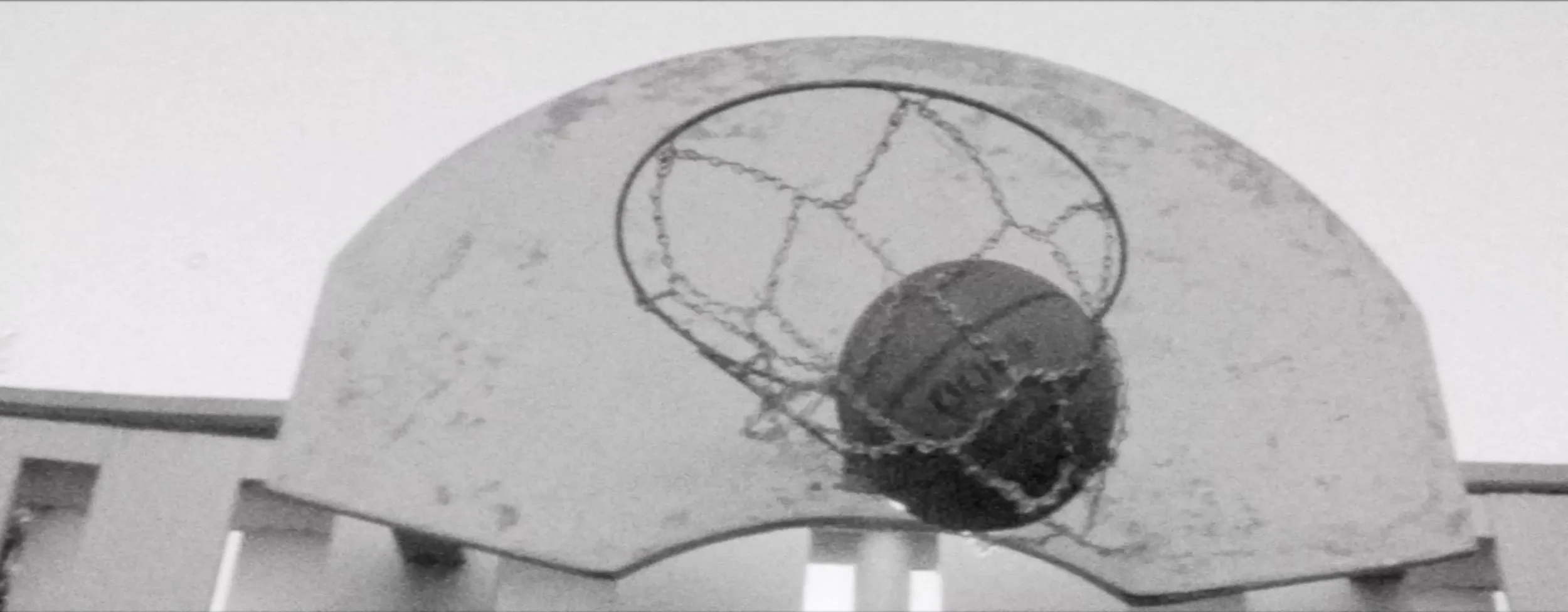 Screenshot 2023-11-15 at 1.11.06 PM.jpeg