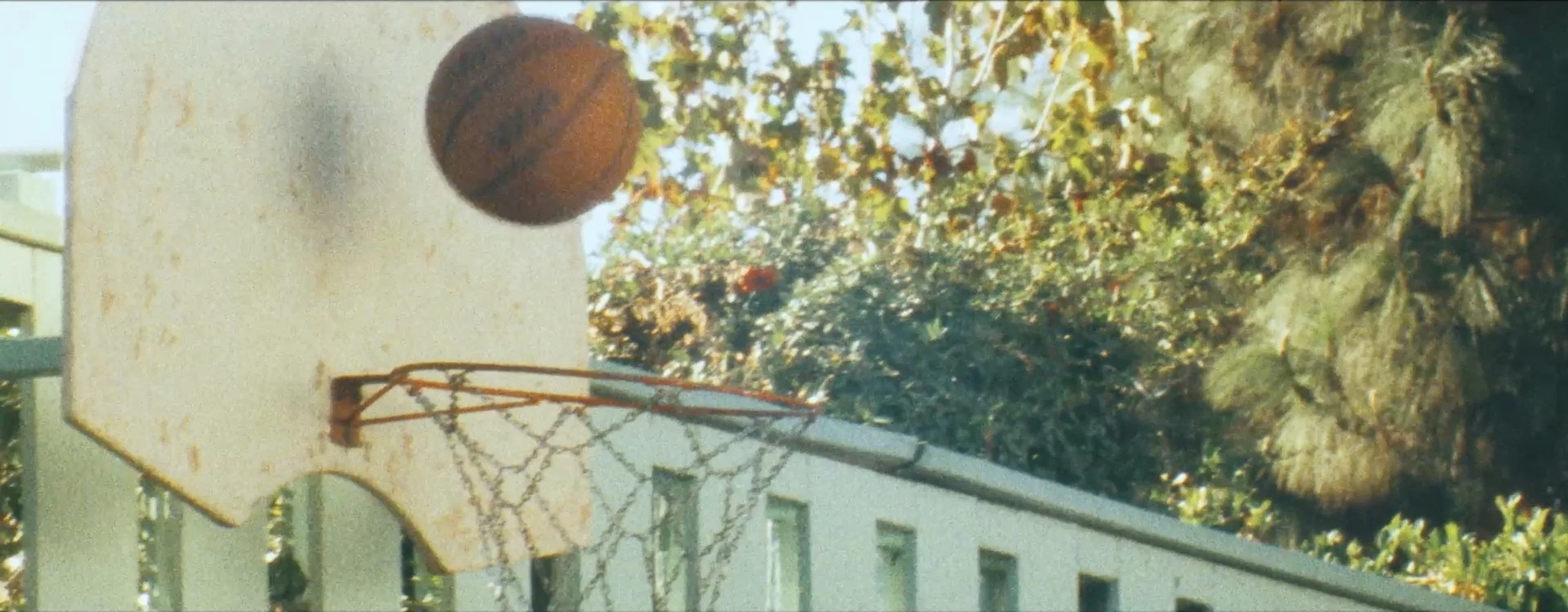 Screenshot 2023-11-15 at 1.12.12 PM.jpeg