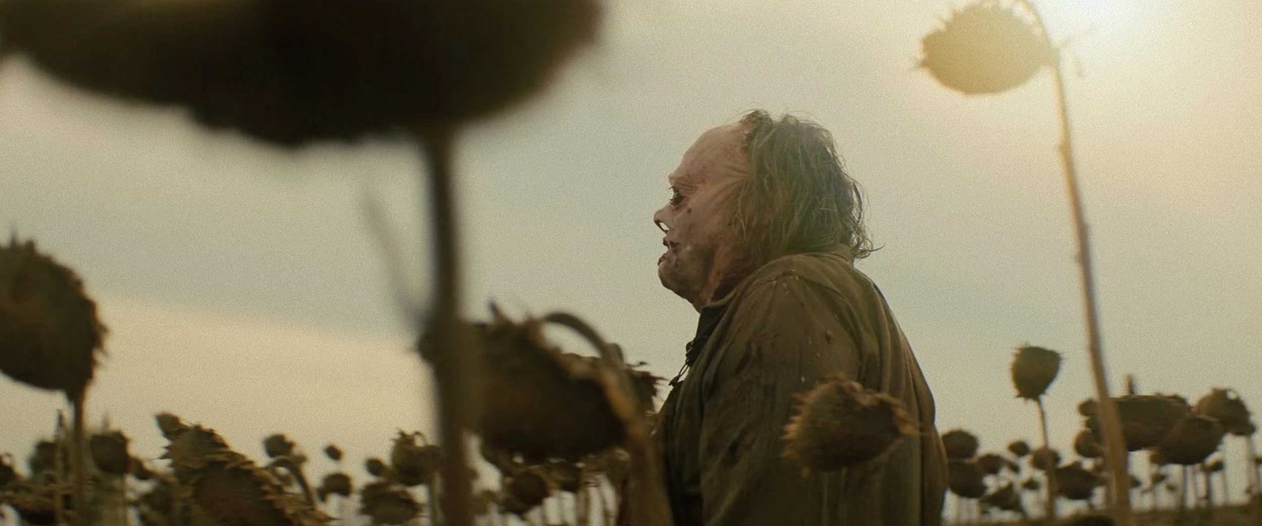 Screenshot 2023-11-17 at 11.22.22 AM.jpeg