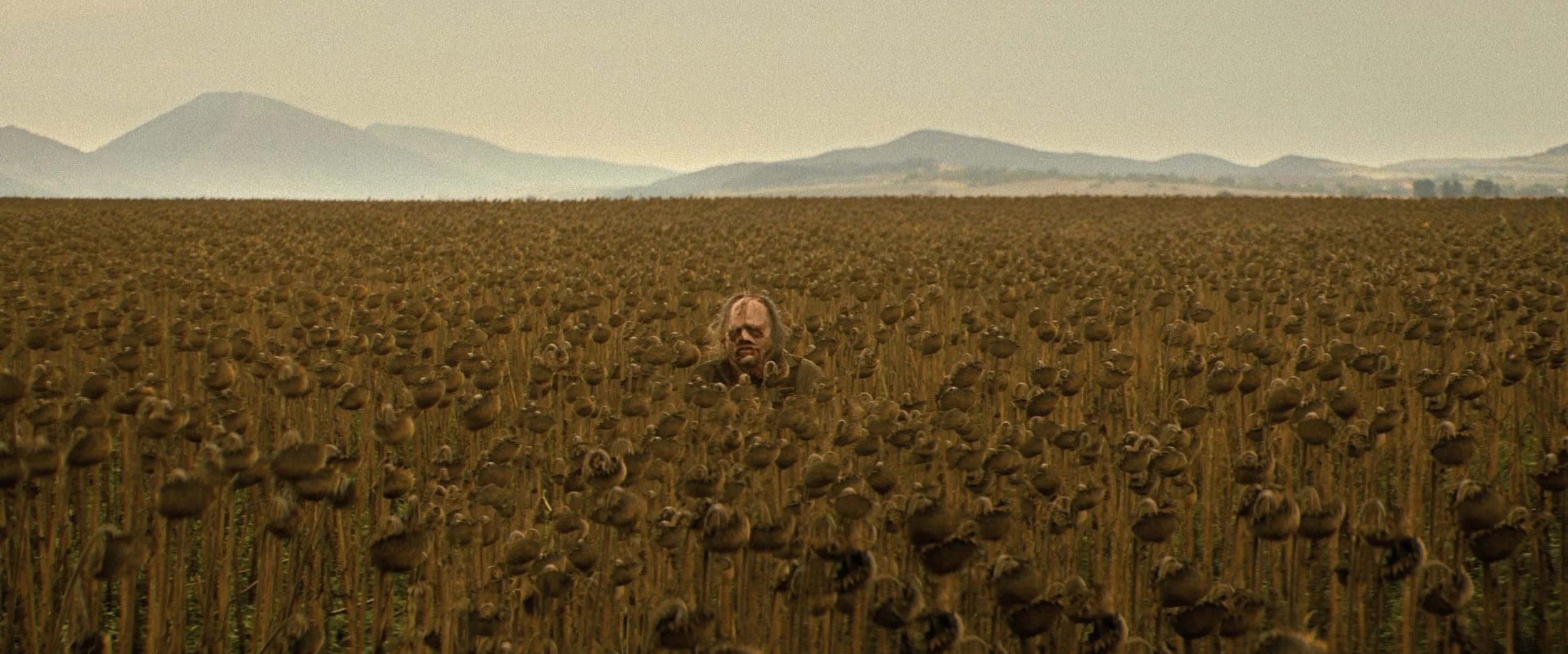 Screenshot 2023-11-17 at 11.22.34 AM.jpeg