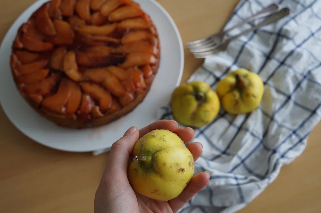 Quince, olive oil and spice upsidedown cake — Nutmegs, seven