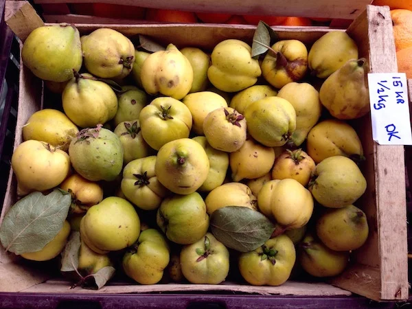 Luckily, finding my esoteric favourite fruits isn't a problem here: quinces for sale in the Aarhus market.