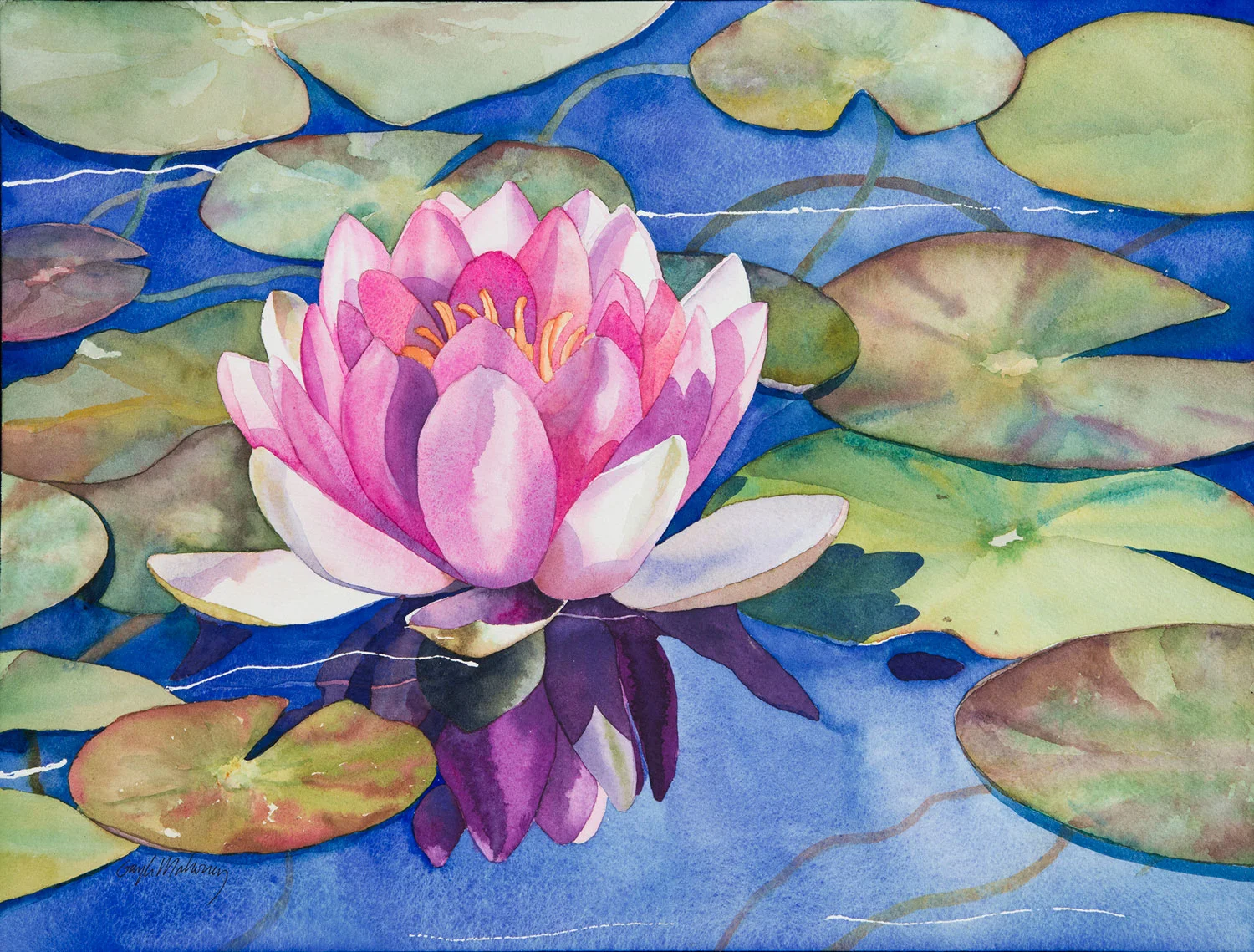 Gayle-Mahoney-Pink-Lily.jpg