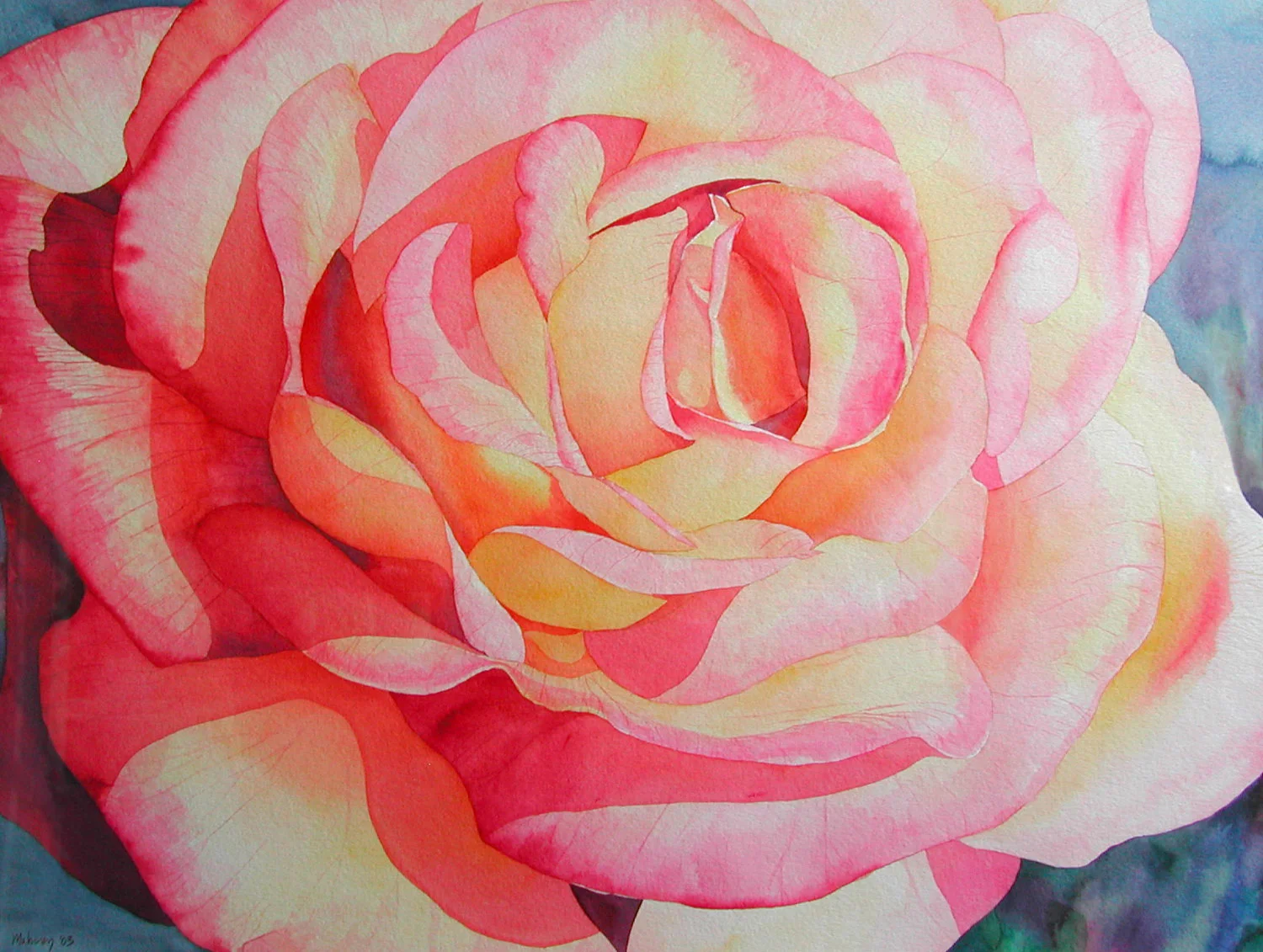 Gayle-Mahoney-September-Rose.jpg