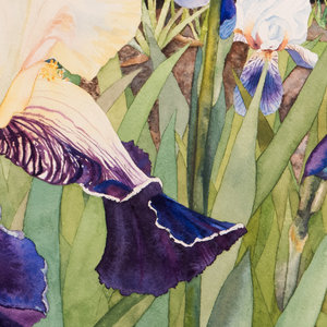 Iris Paints Watercolors - All Natural, Handmade & Hand poured in our home  studio