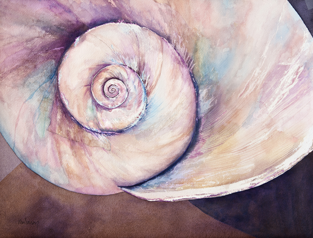 Seashell-Gayle-Mahoney.jpg