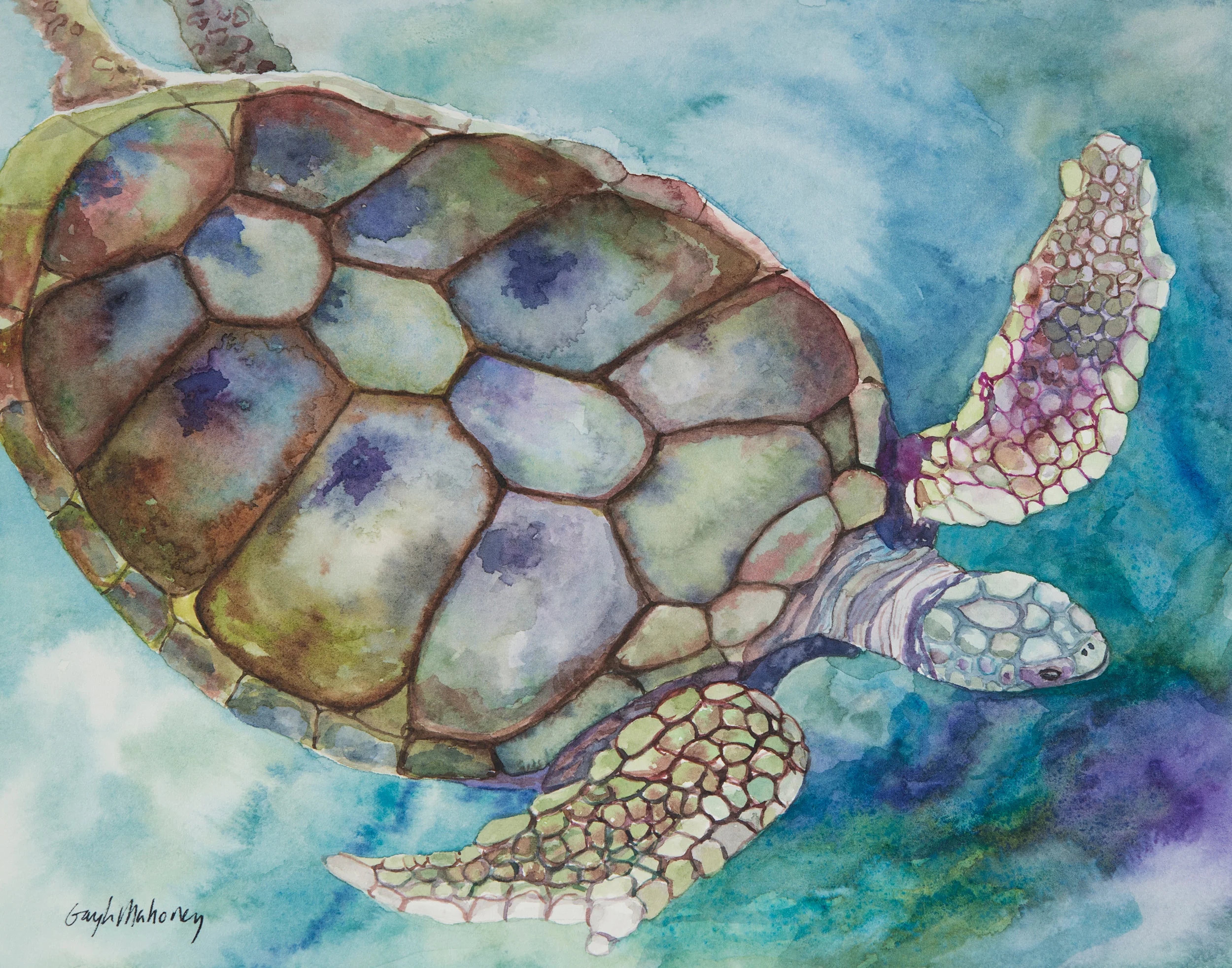 Xcaret-Turtle-Gayle-Mahoney.jpg