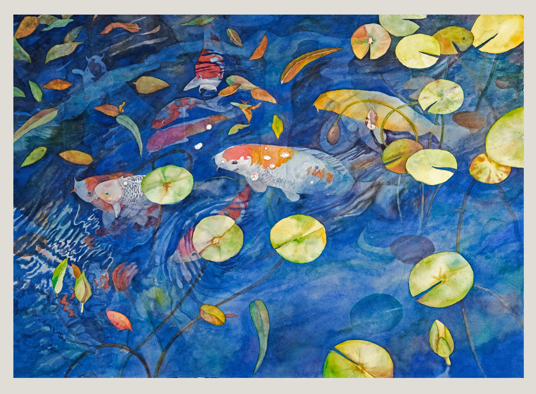 Kodama Koi Pond