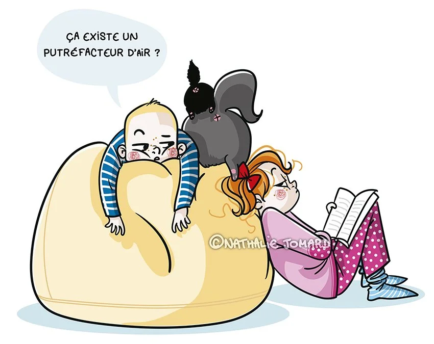 Cogito ergo sum Furax3.jpg