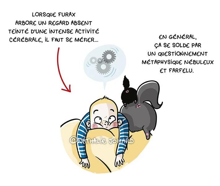 Cogito ergo sum Furax1.jpg