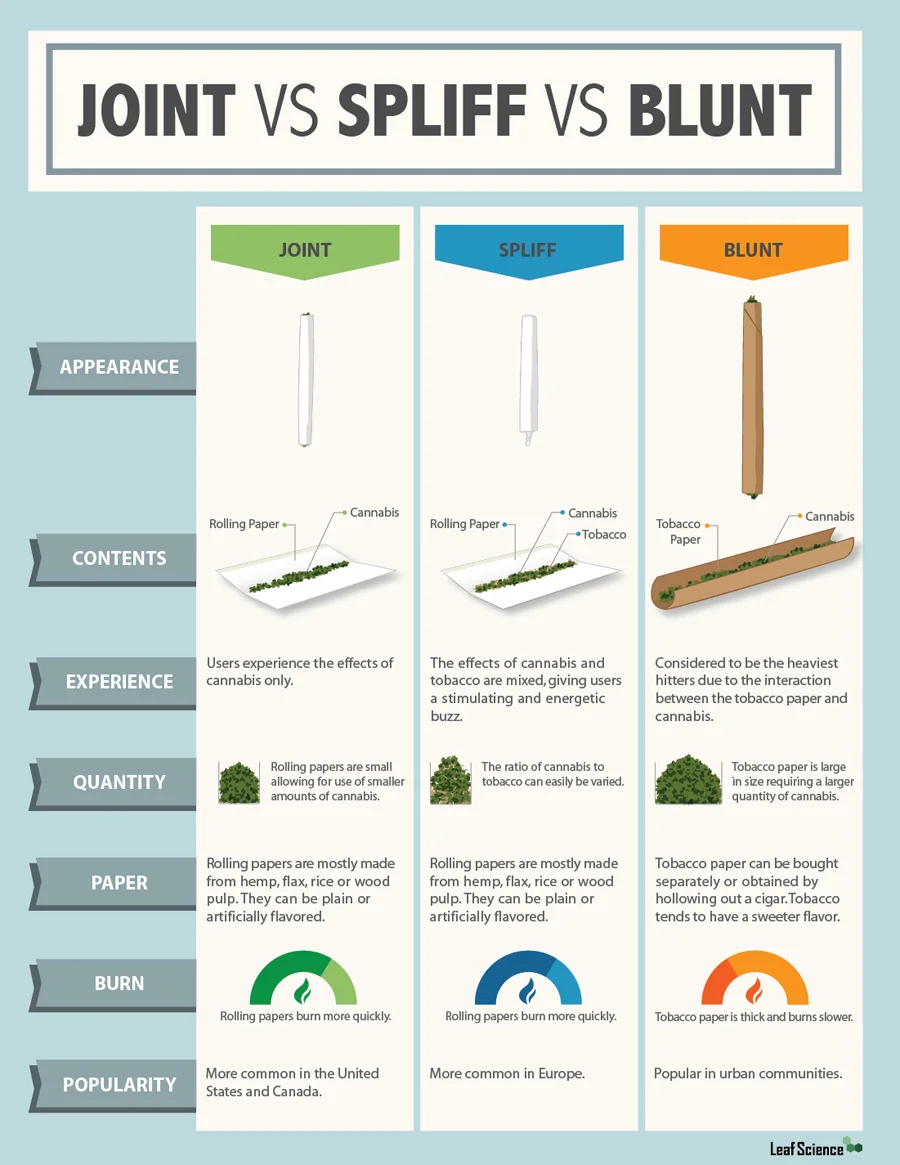 infographic_joint_blunt_spliff_web.jpg
