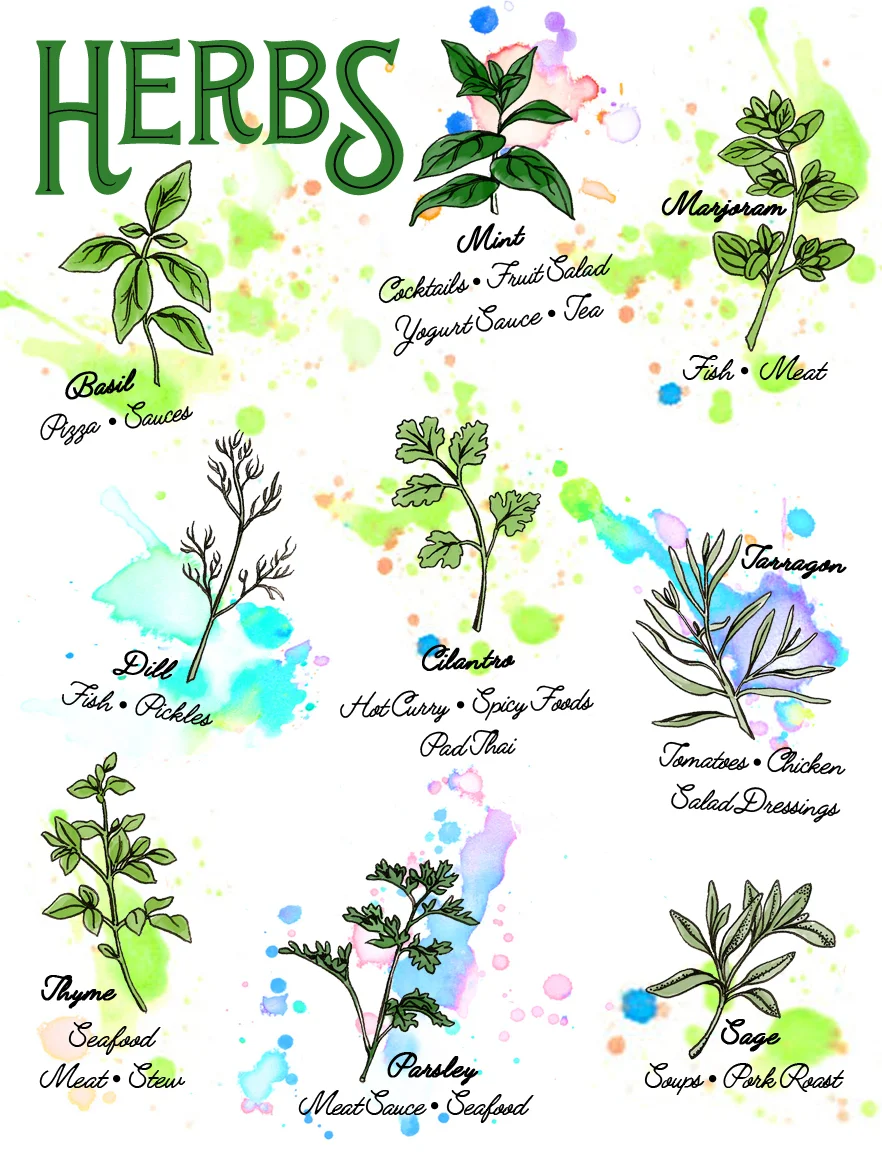  A series of informational illustrations aimed at educating users of medical marijuana.   Illustration &amp; Design: &nbsp;Lisa Collins   Publication: &nbsp;Leaf Science 