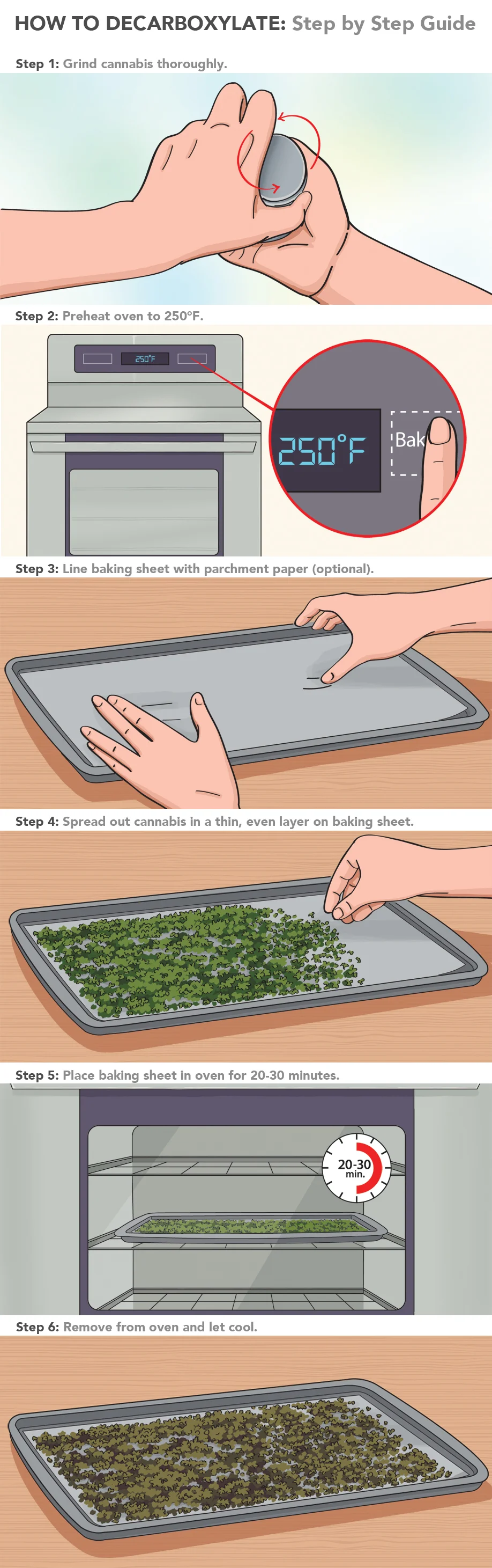 decaboxylate_infographic.jpg
