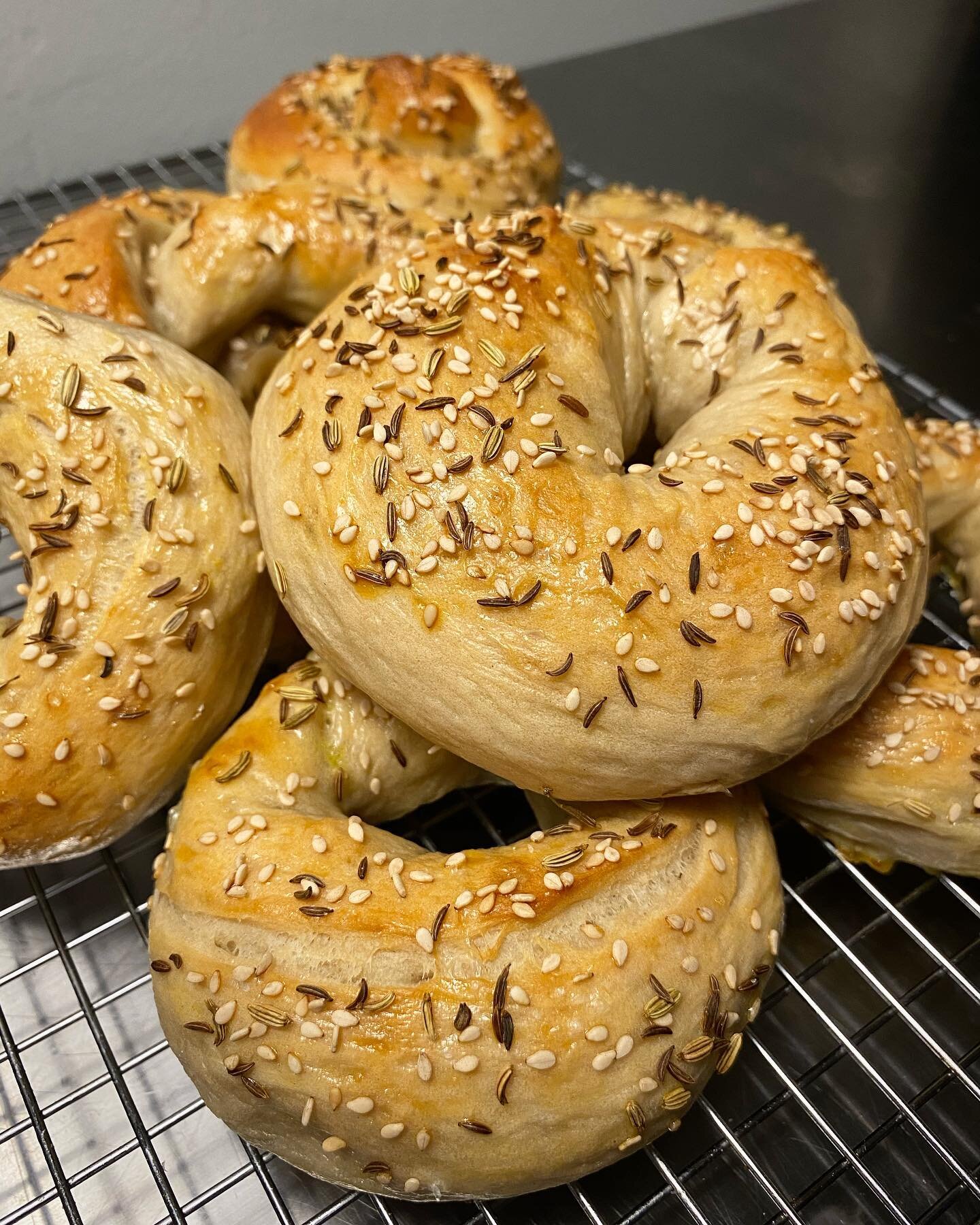 Cider Lees Montreal/NY Hybrid Bagels

I racked some cider a couple days ago and happened to save the lees in the fridge. I was trying to think of something to do with it and then it struck me: I had successfully&nbsp;baked bread with cider lees in th