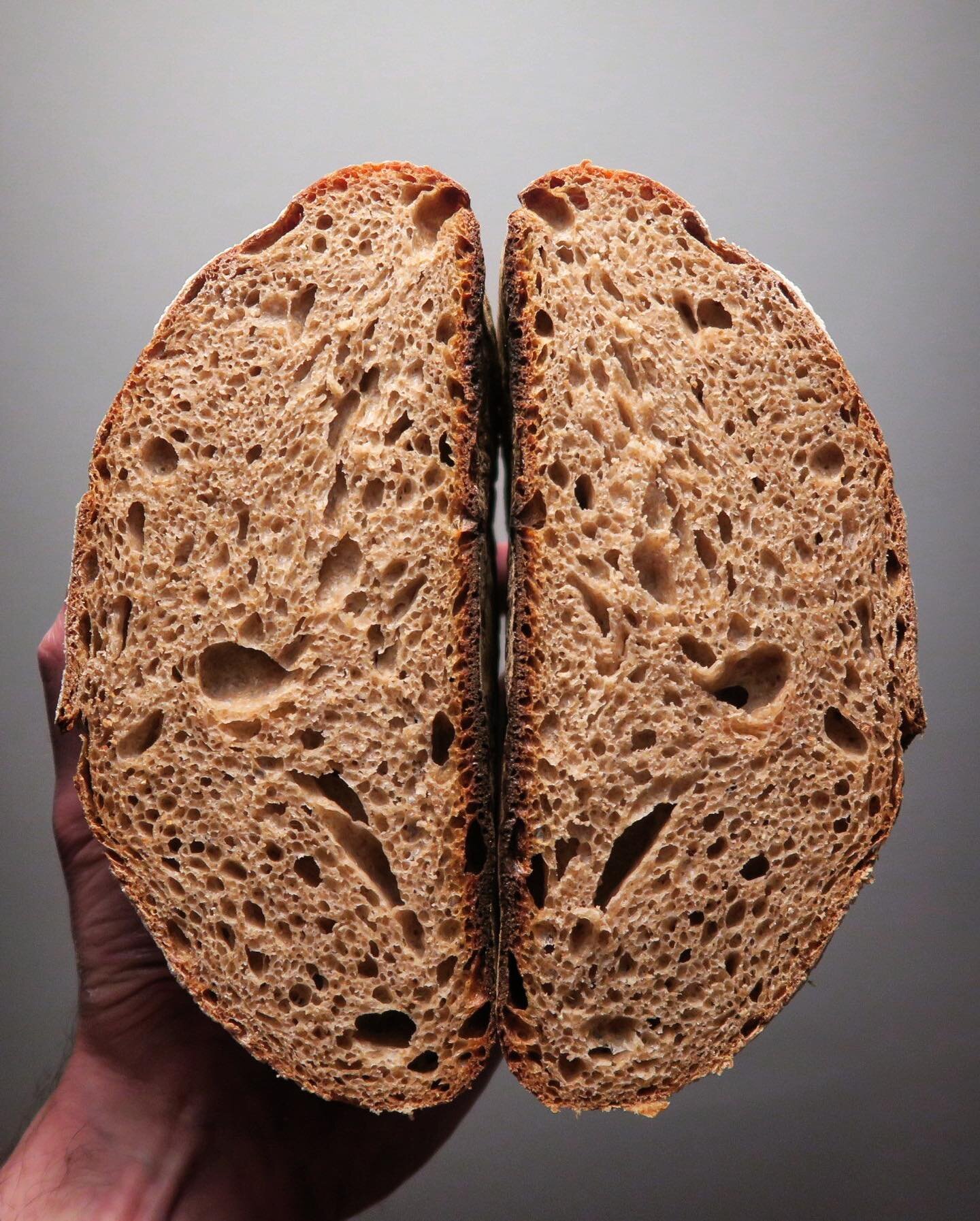 Inspired by bread guru, @ugly_bread. 75% whole wheat, 20% AP, 5% spelt; 82% hydration.