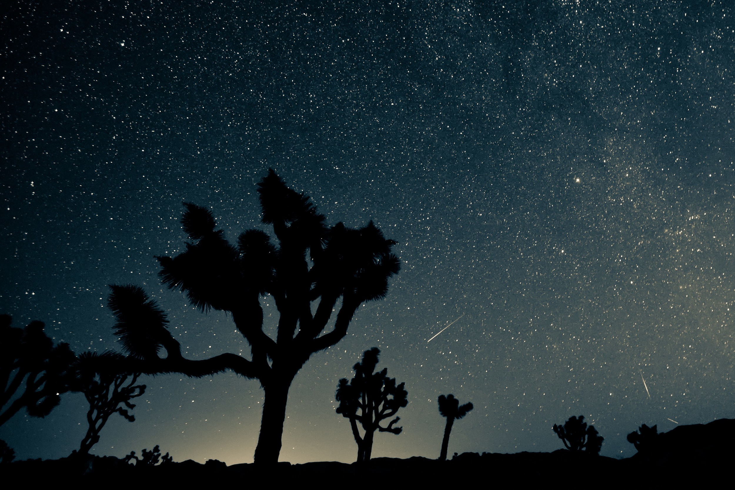 Perseid Meteor Shower Over Joshua Tree