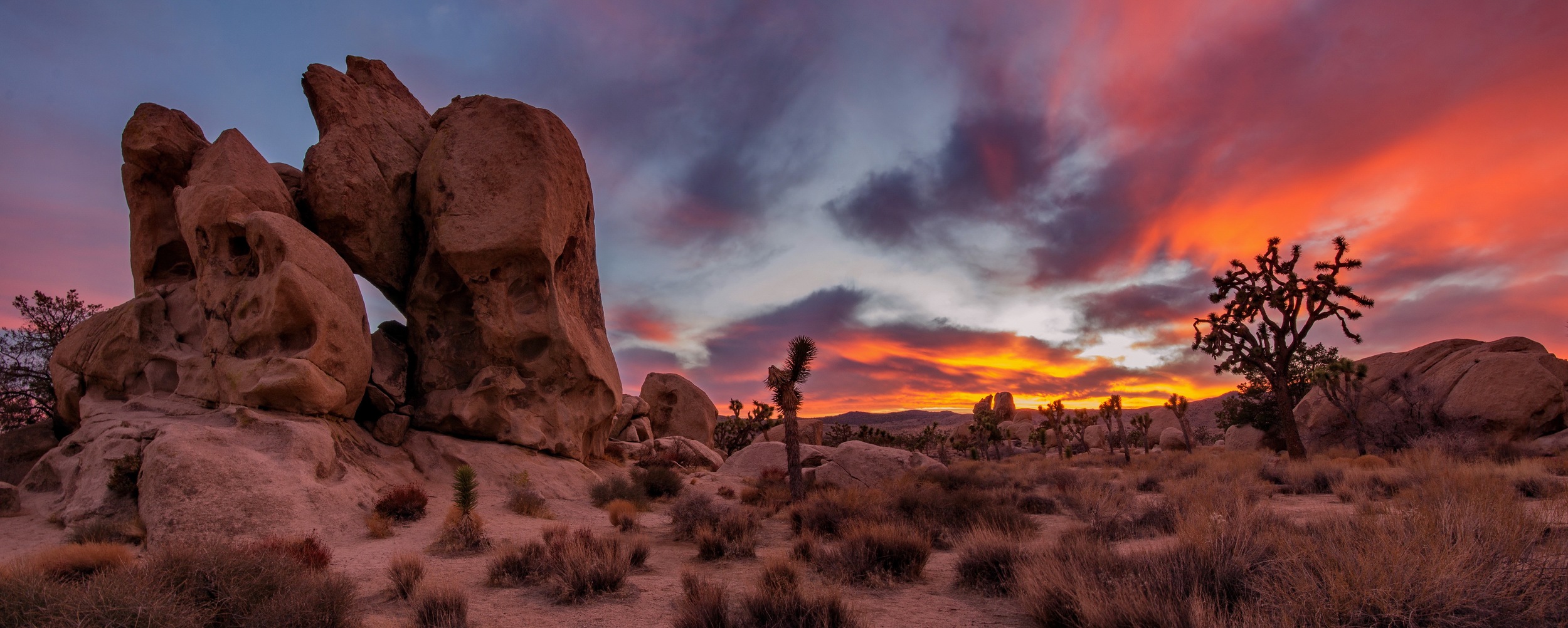 Joshua Tree National Park At Sunset