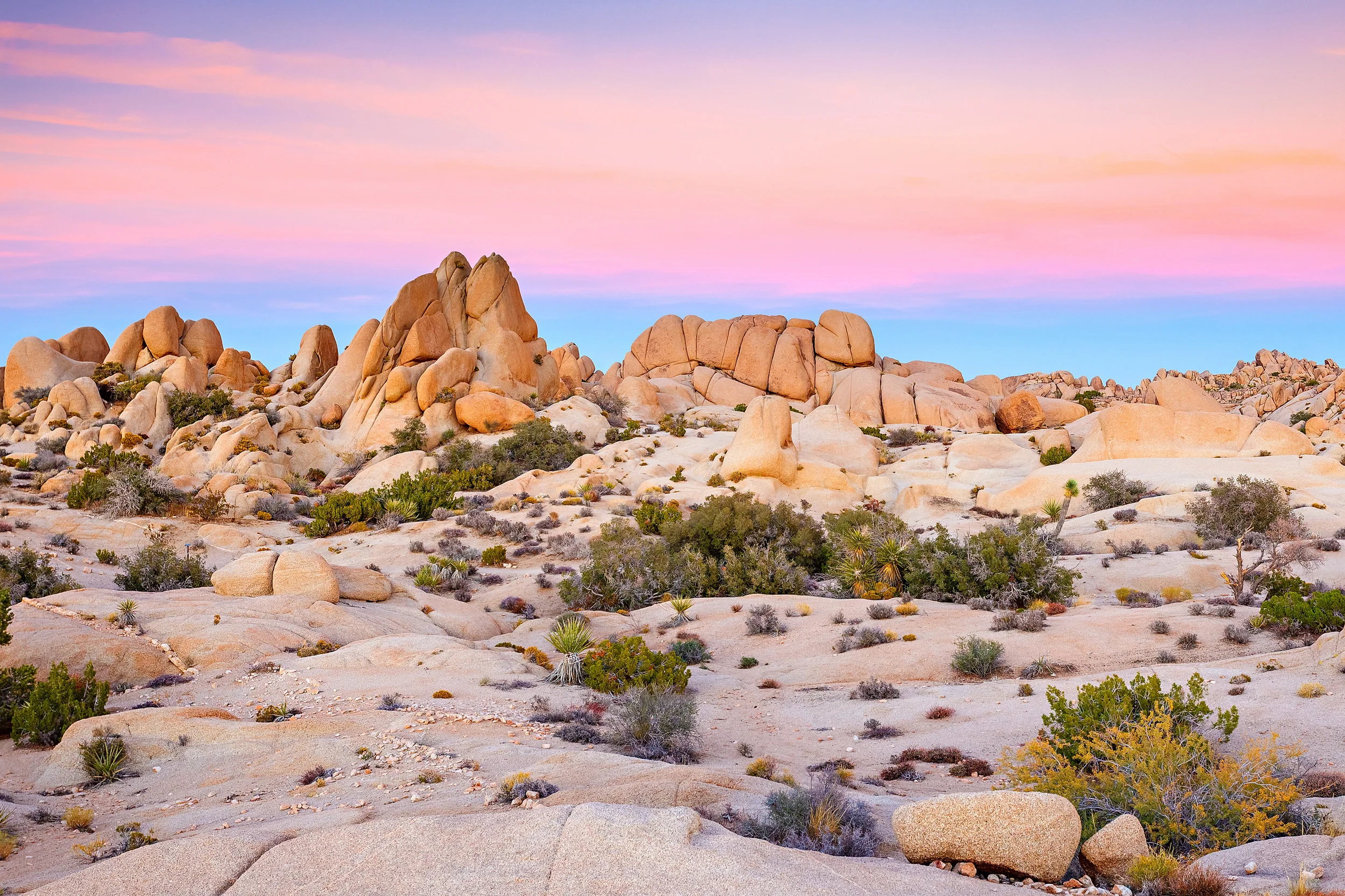 Joshua Tree National Park - (Photo: S.Borisov/Shutterstock)
