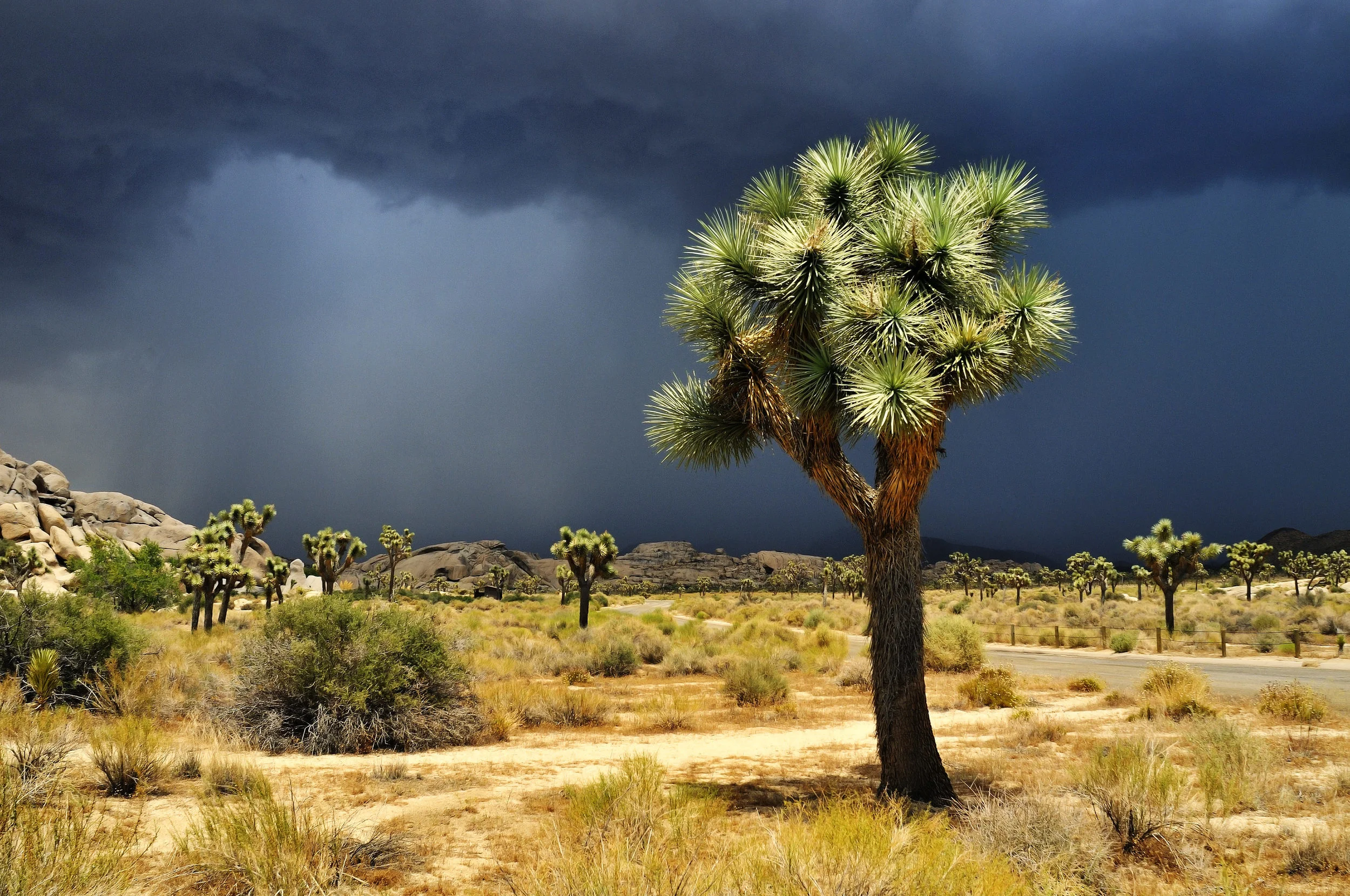 A Storm Passes Through (Photo: Martin Froyda/Shutterstock)