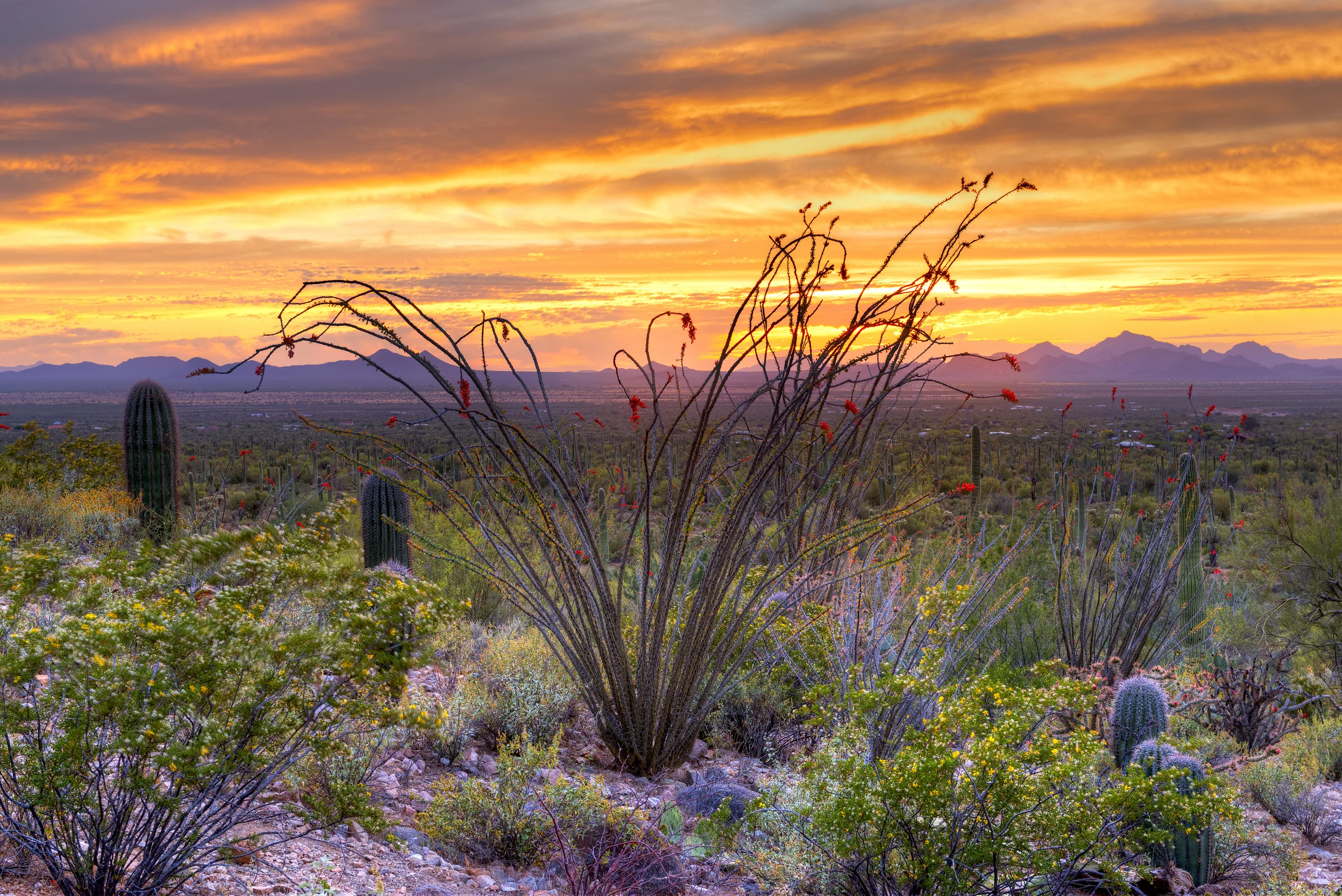  THE LAST RAYS OF SUN - (PHOTO: ANTON FOLTIN/SHUTTERSTOCK)