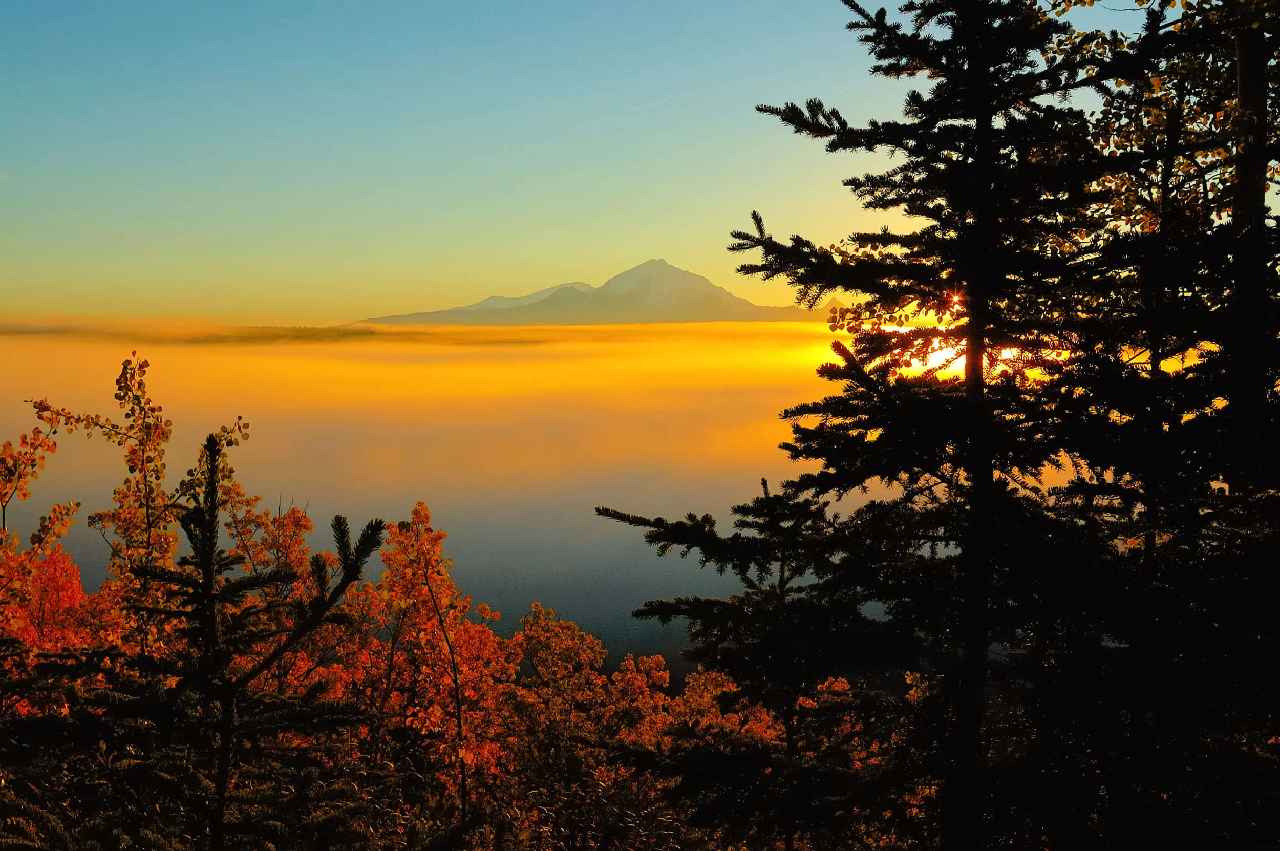 MOUNT DRUM AUTUMN SUNRISE