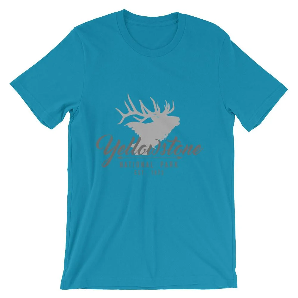 Yellowstone-Shirt-1_mockup_Wrinkle-Front_Aqua.jpeg