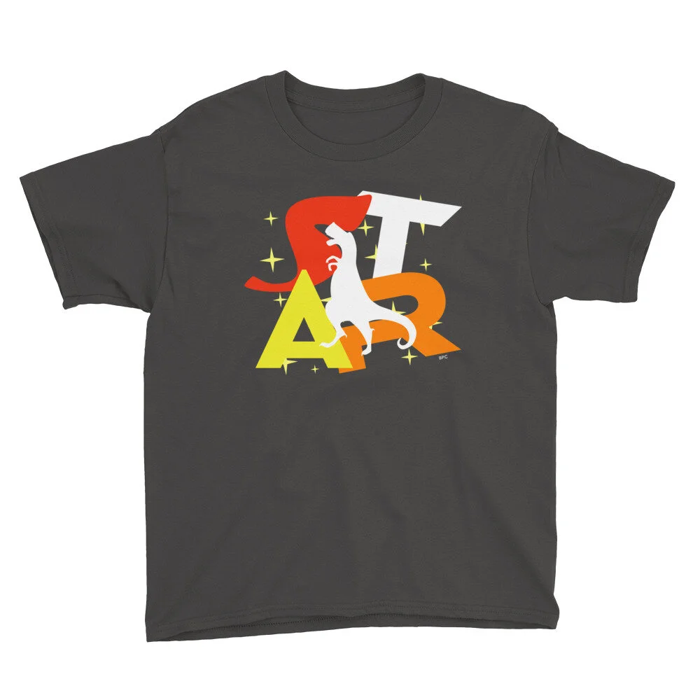 youth-lightweight-t-shirt-charcoal-front-6050529d17168.jpg