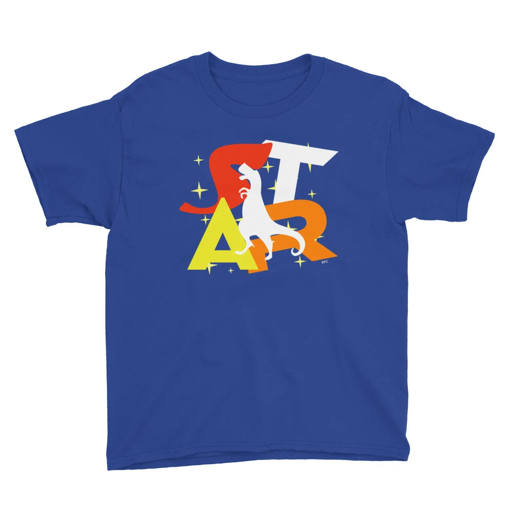 youth-lightweight-t-shirt-royal-blue-front-6050529d1720d.jpg