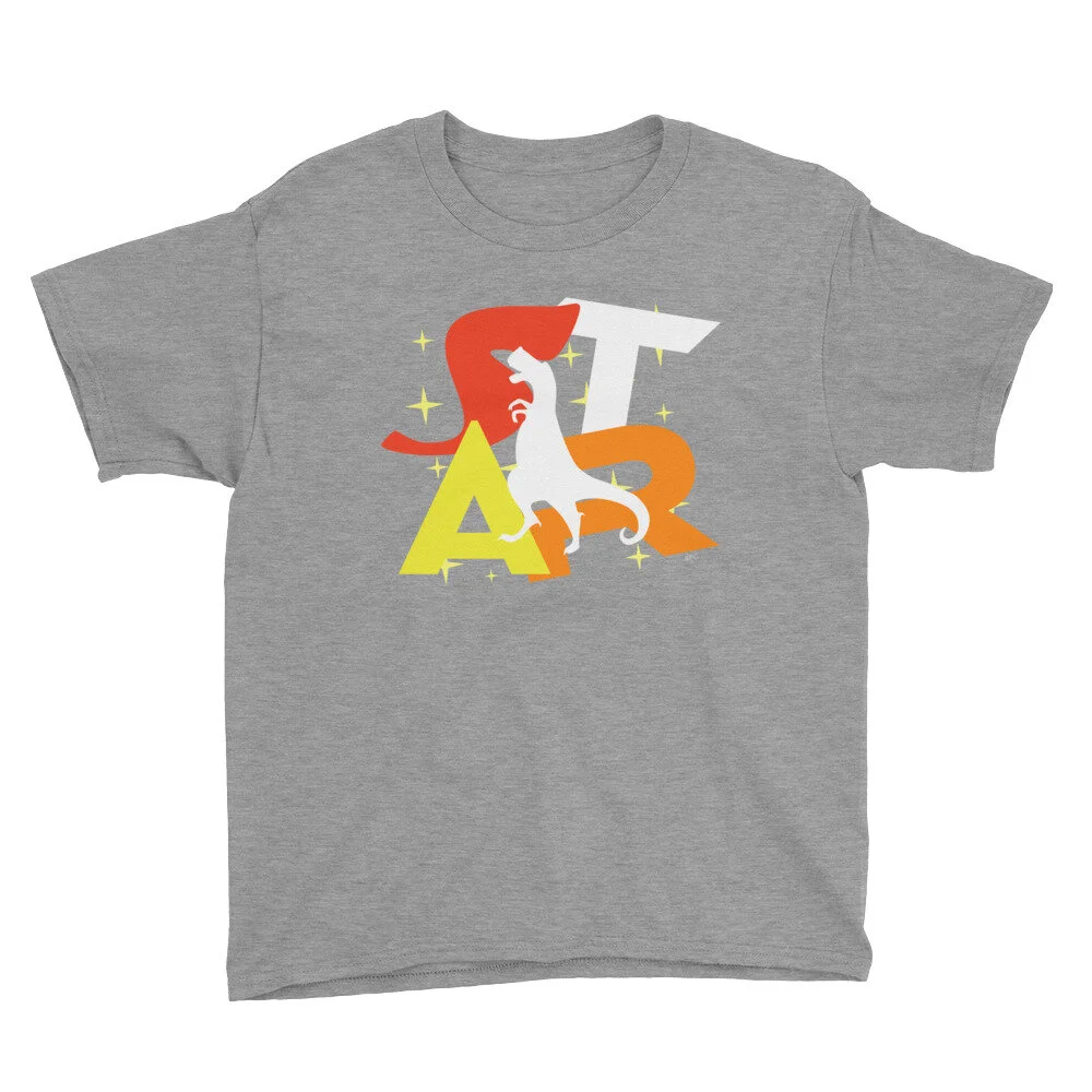 youth-lightweight-t-shirt-heather-grey-front-6050529d17394.jpg
