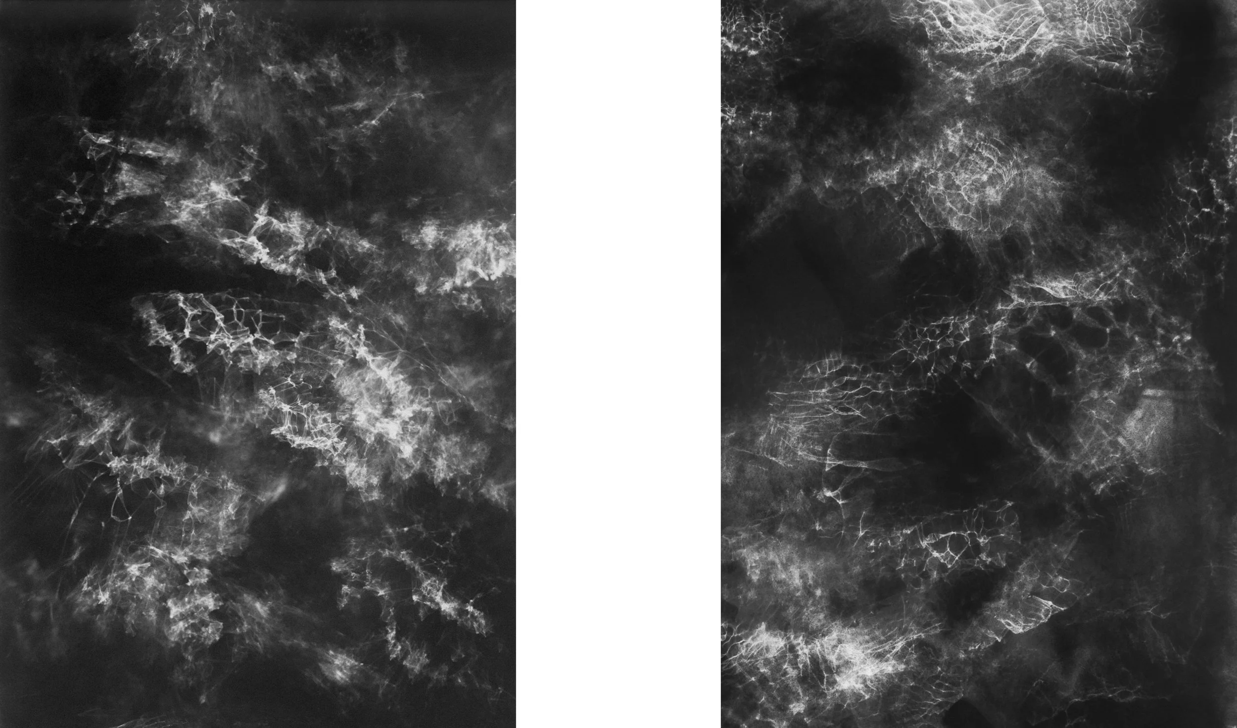 Seeing Light Through Light, 2015