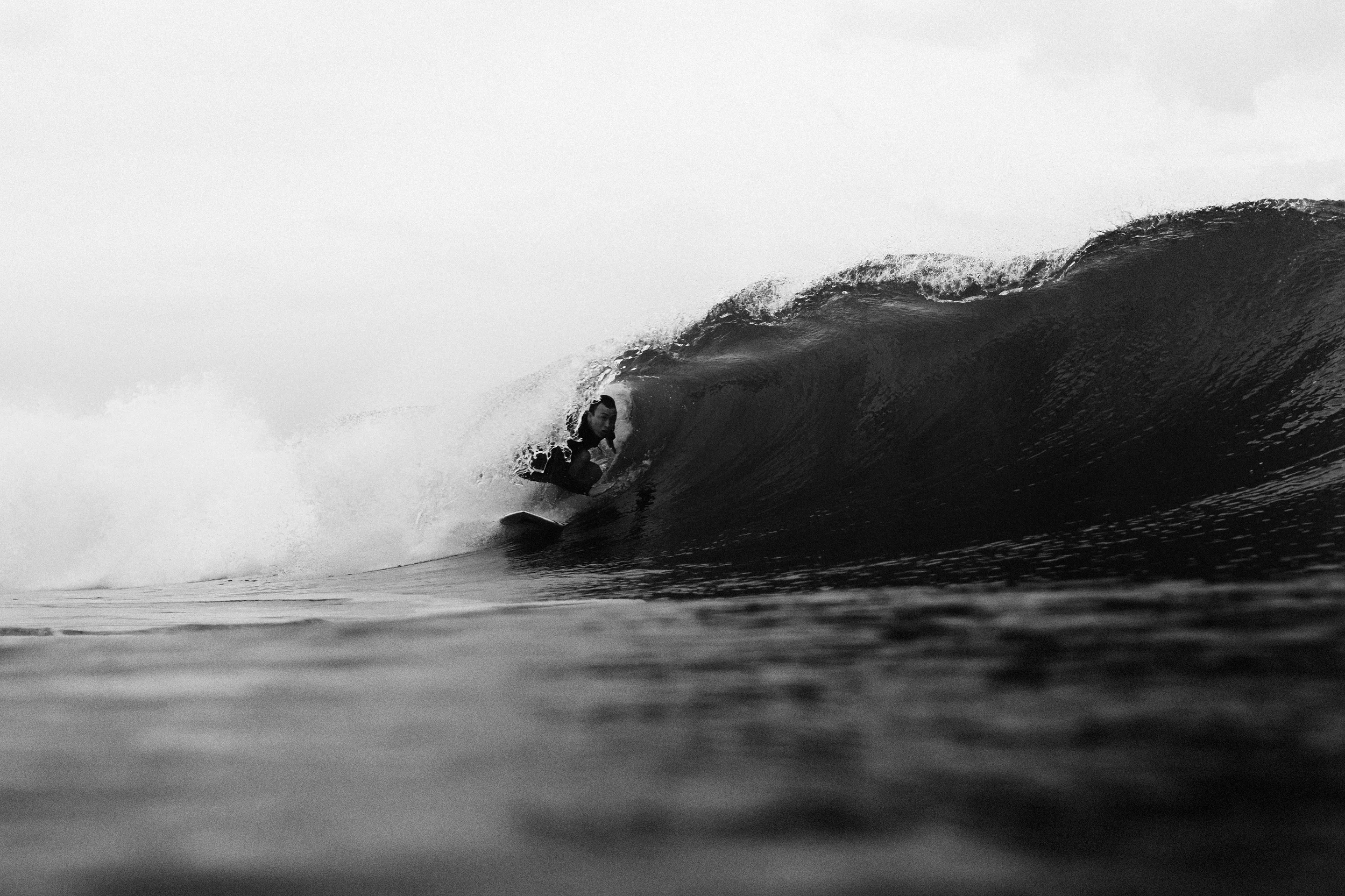 Dion Mattison
