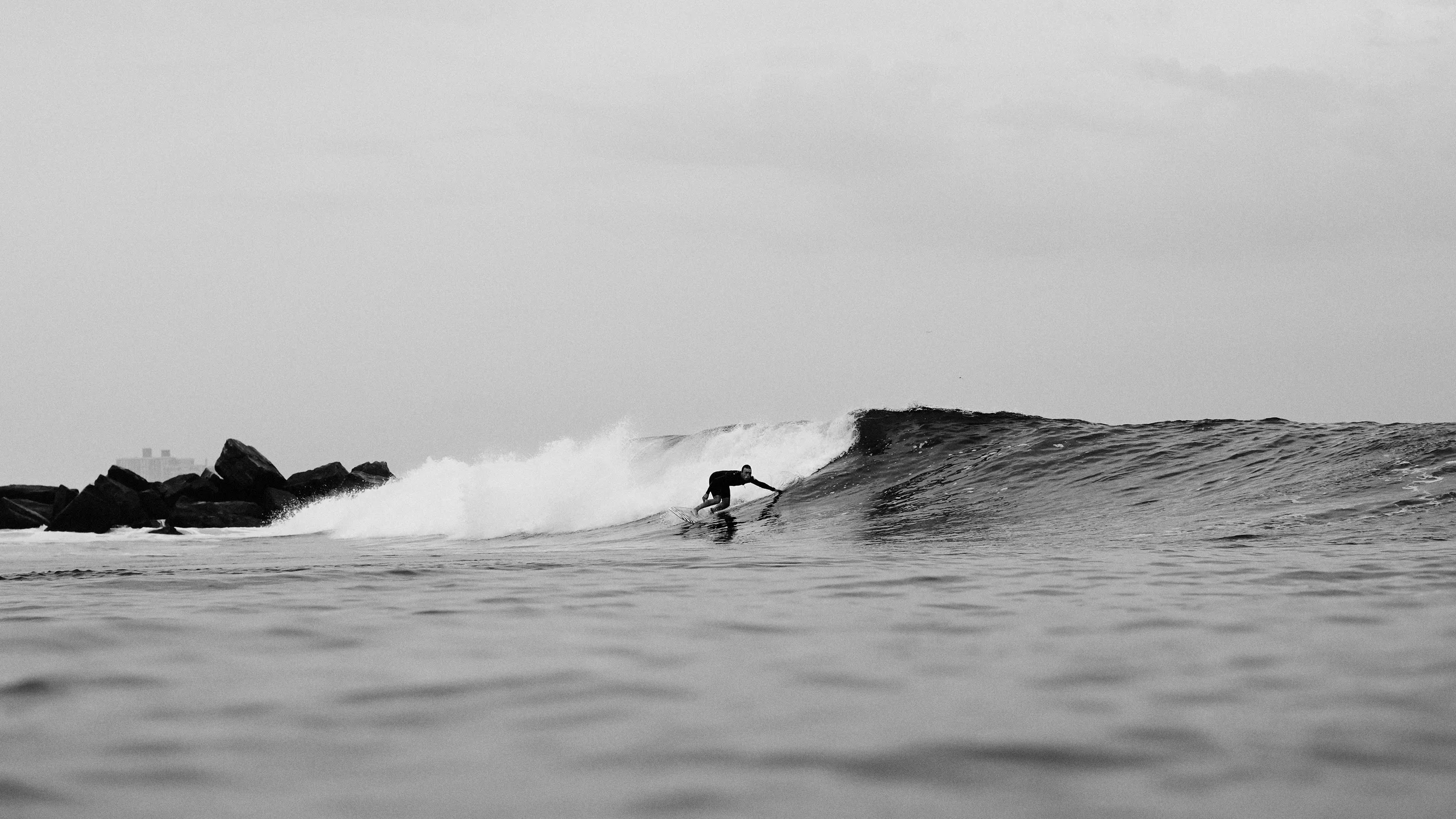 Dion Mattison