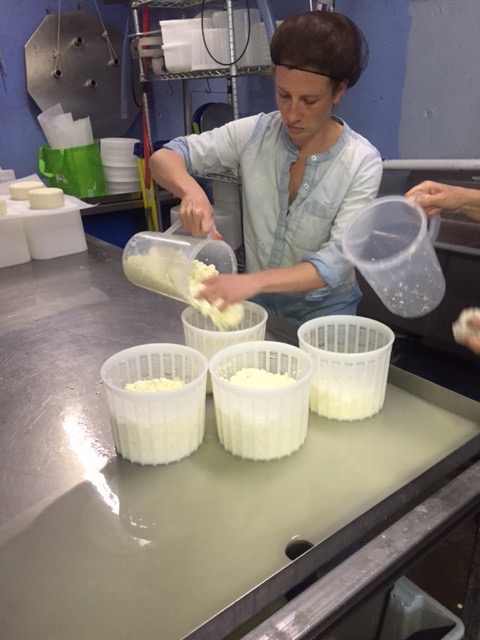 Westminster Artisan Cheesemaking