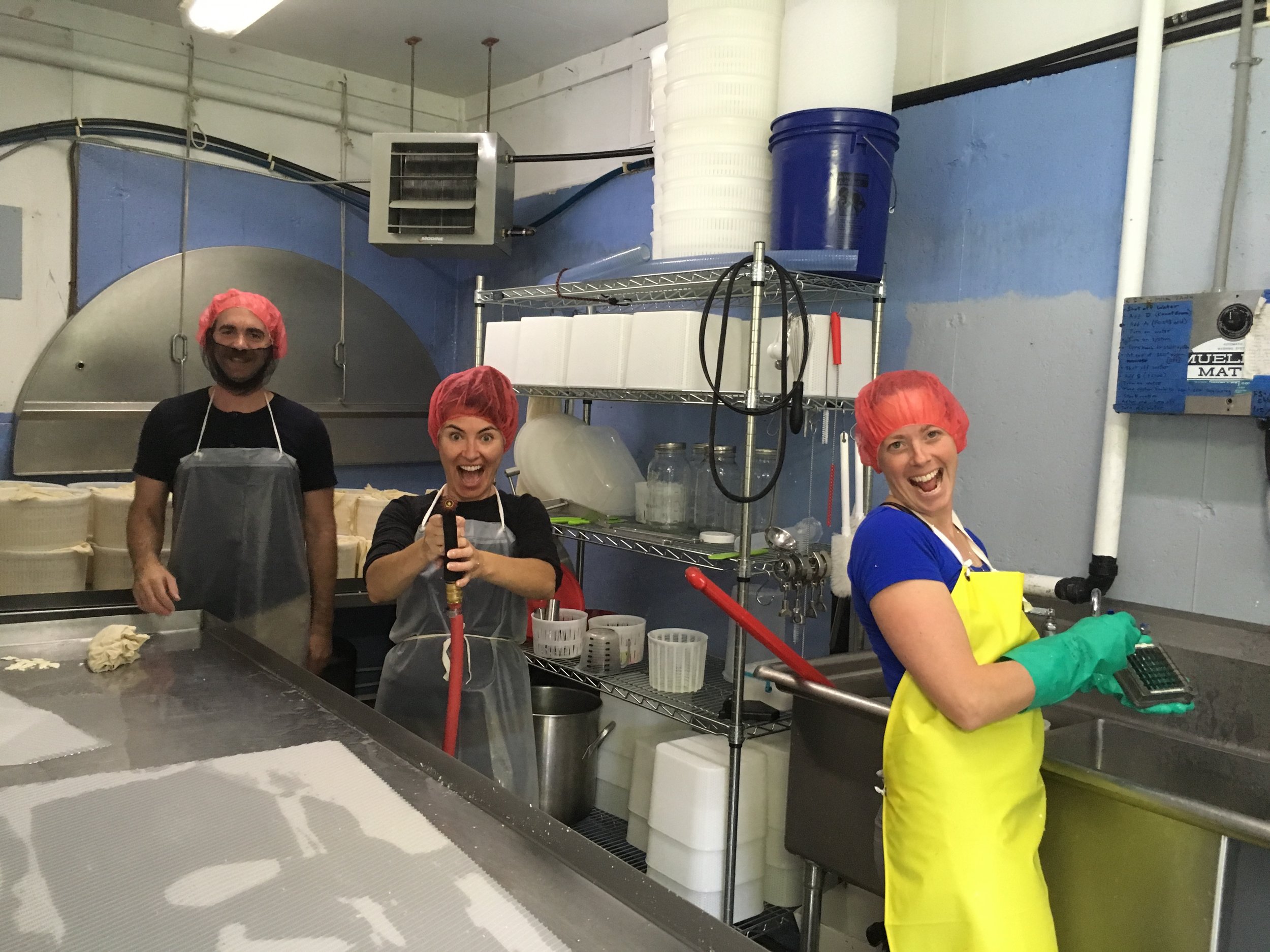 The Black Sheep School of Cheesemaking