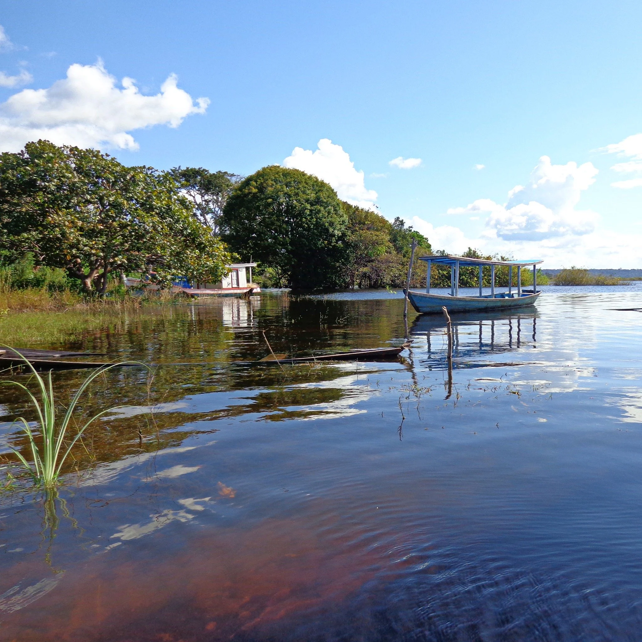&quot;But whoever drinks the water I give him will never thirst. Indeed, the water I give him will become in him a fount of water springing up to eternal life.&rdquo;
#LivingWater #CurrentOfHope #YearEndGiving