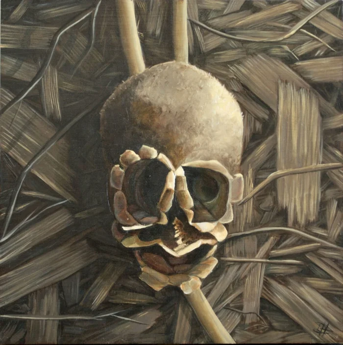 Seedpod