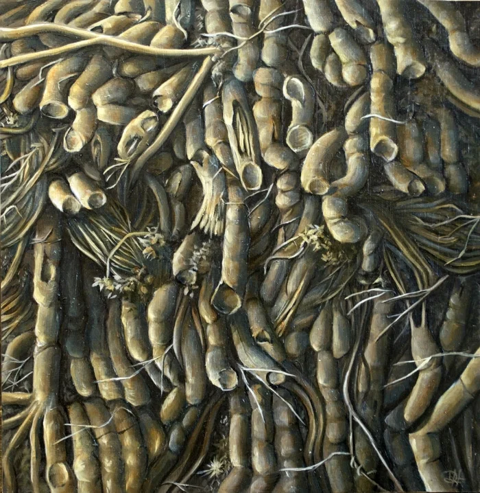 Roots