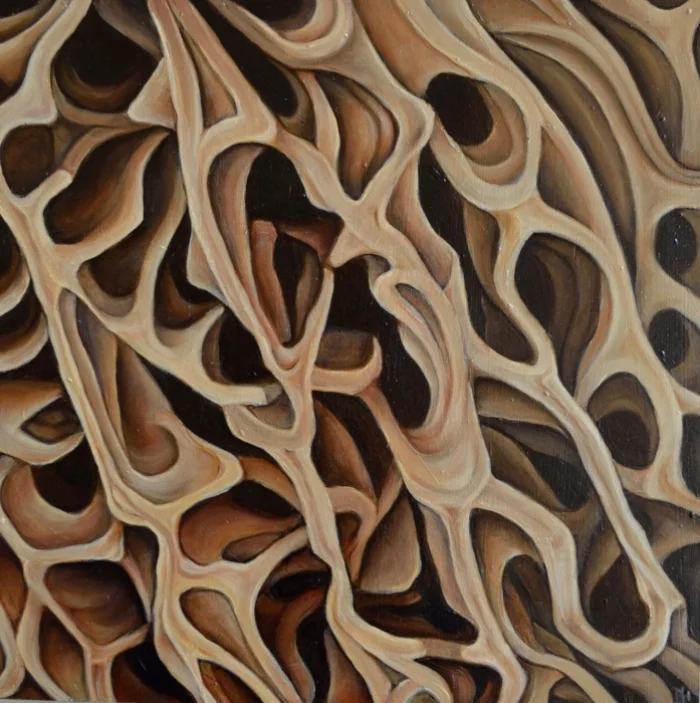 Morel Mushroom