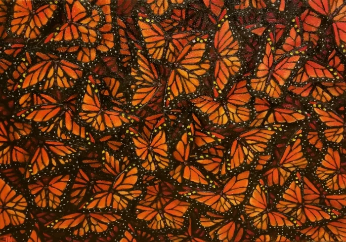 Monarchs