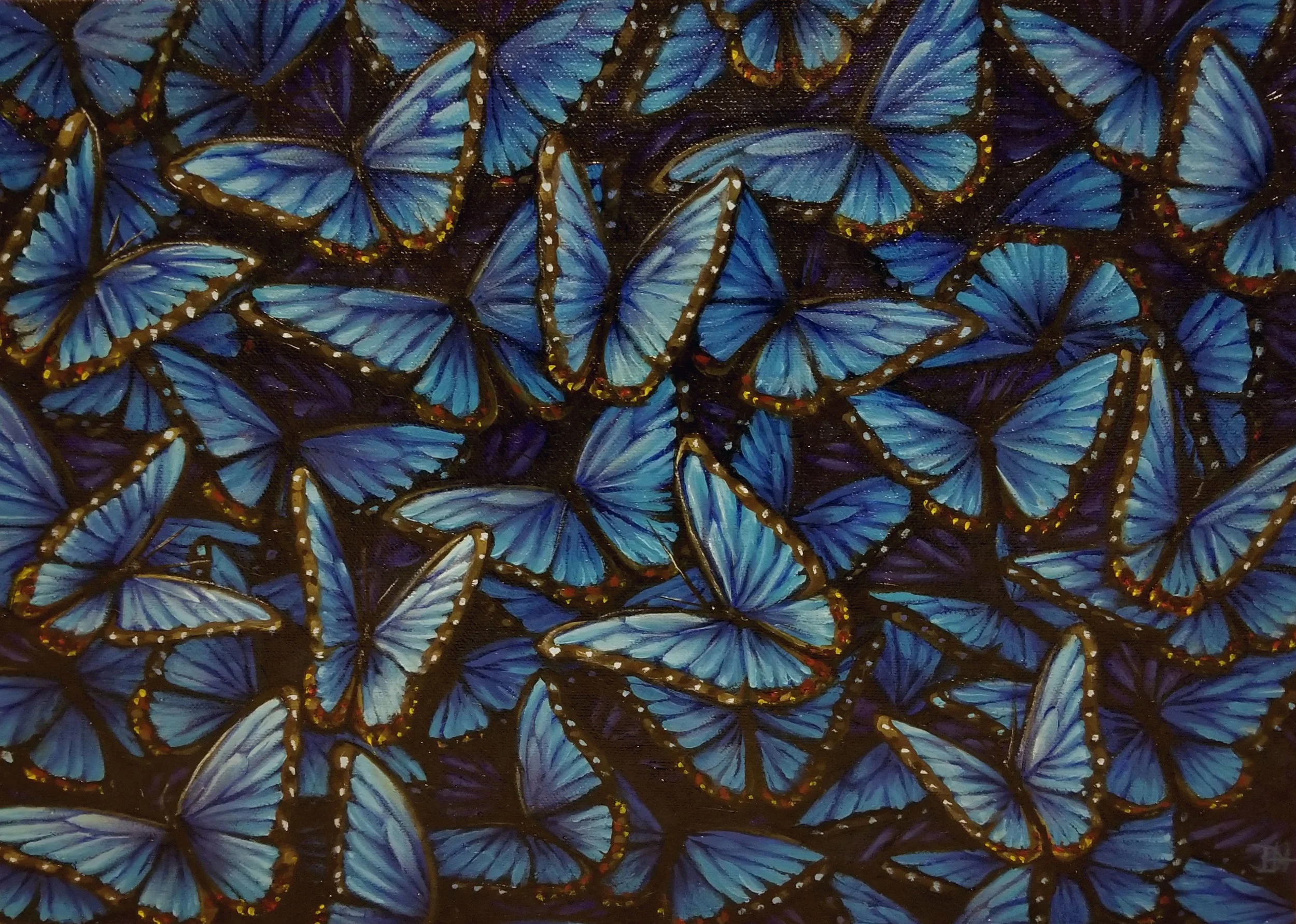 DevanHorton_bluemorpho.jpg