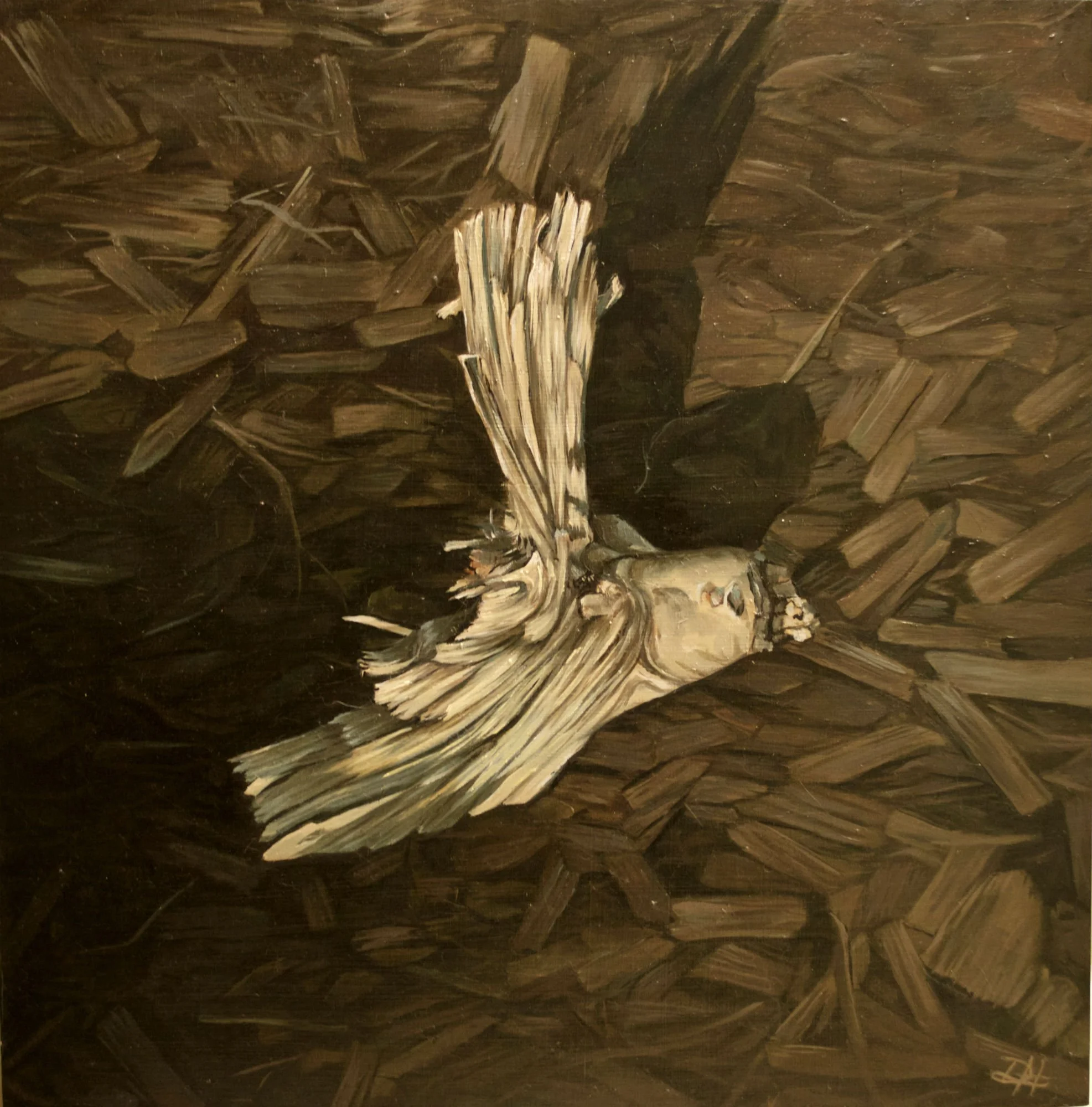 Fallen Branch