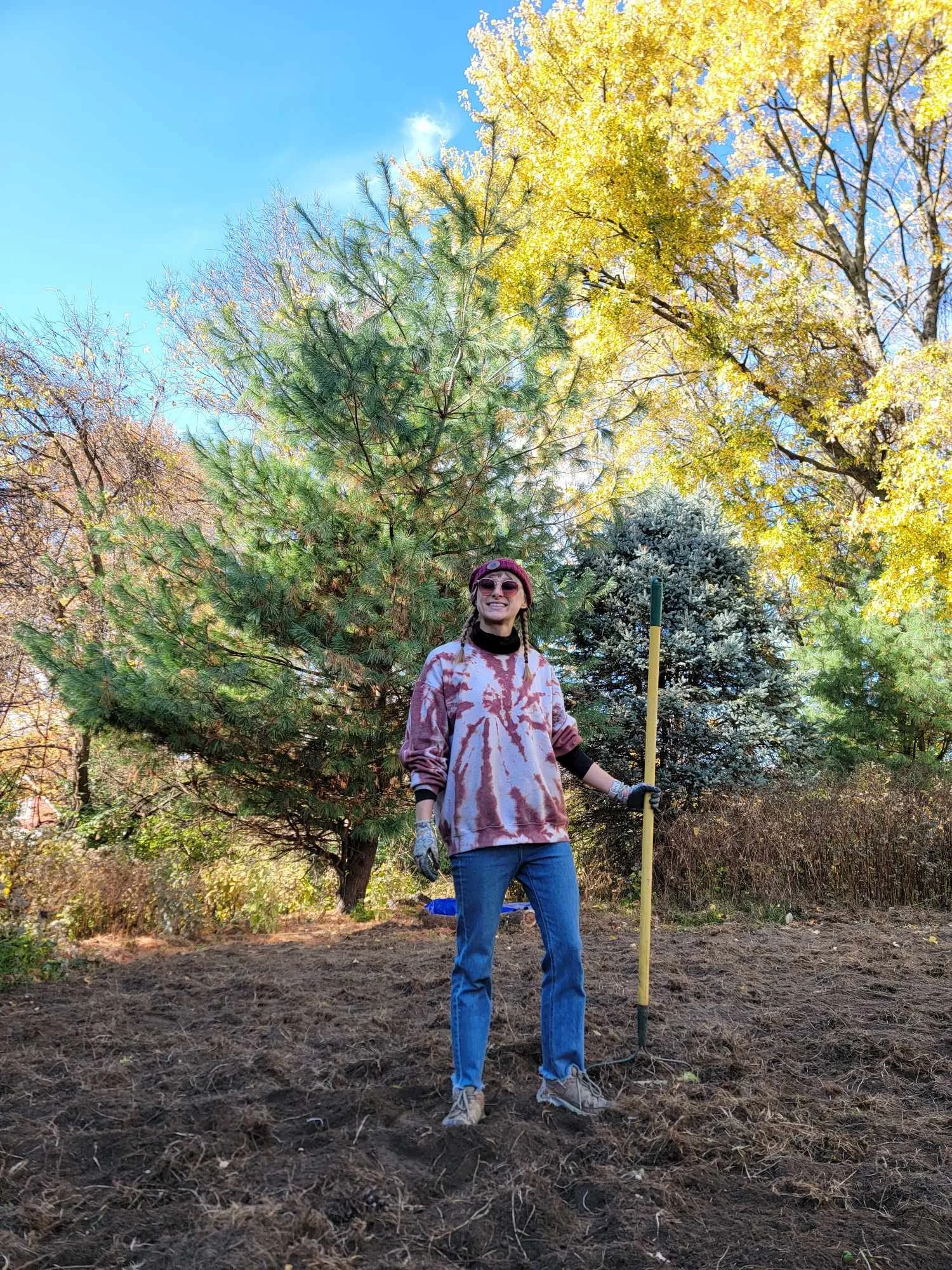 Perennial in Progress - The November before Perennial Event in May
